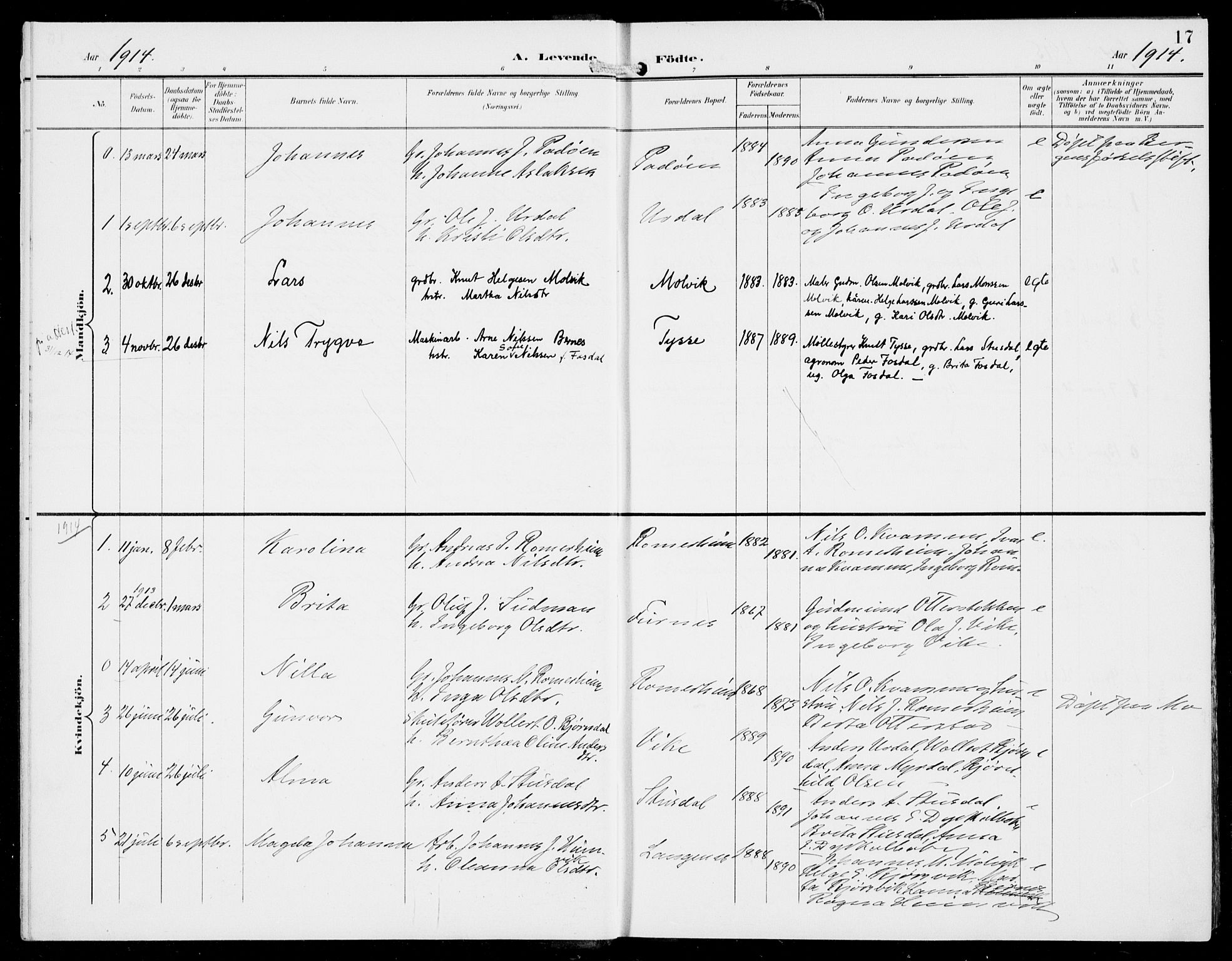 Hosanger sokneprestembete, SAB/A-75801/H/Haa: Parish register (official) no. D  1, 1896-1922, p. 17