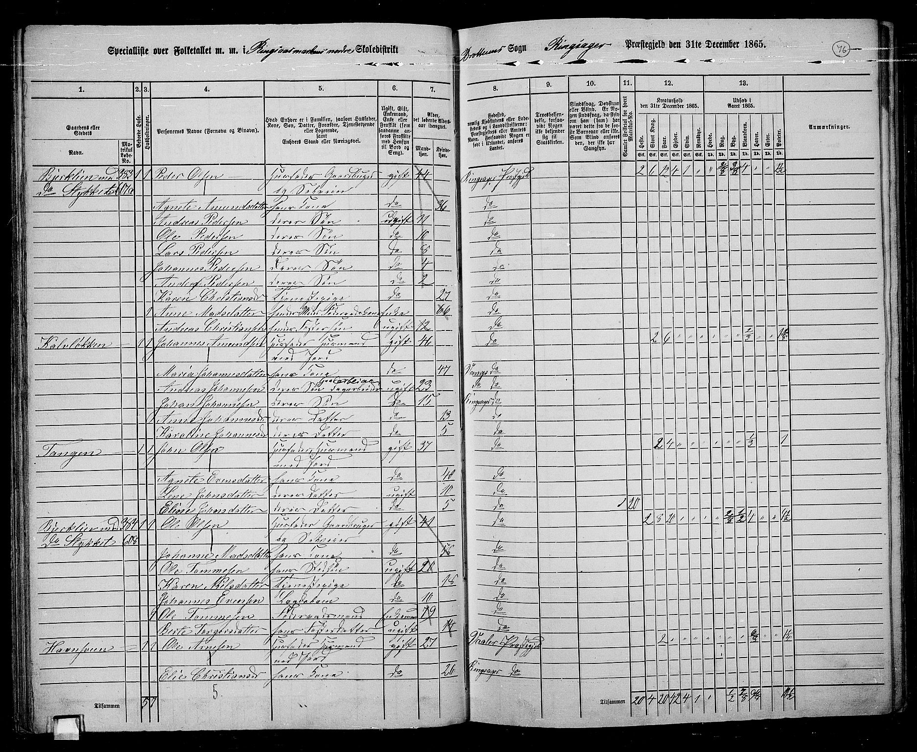 RA, 1865 census for Ringsaker, 1865, p. 328