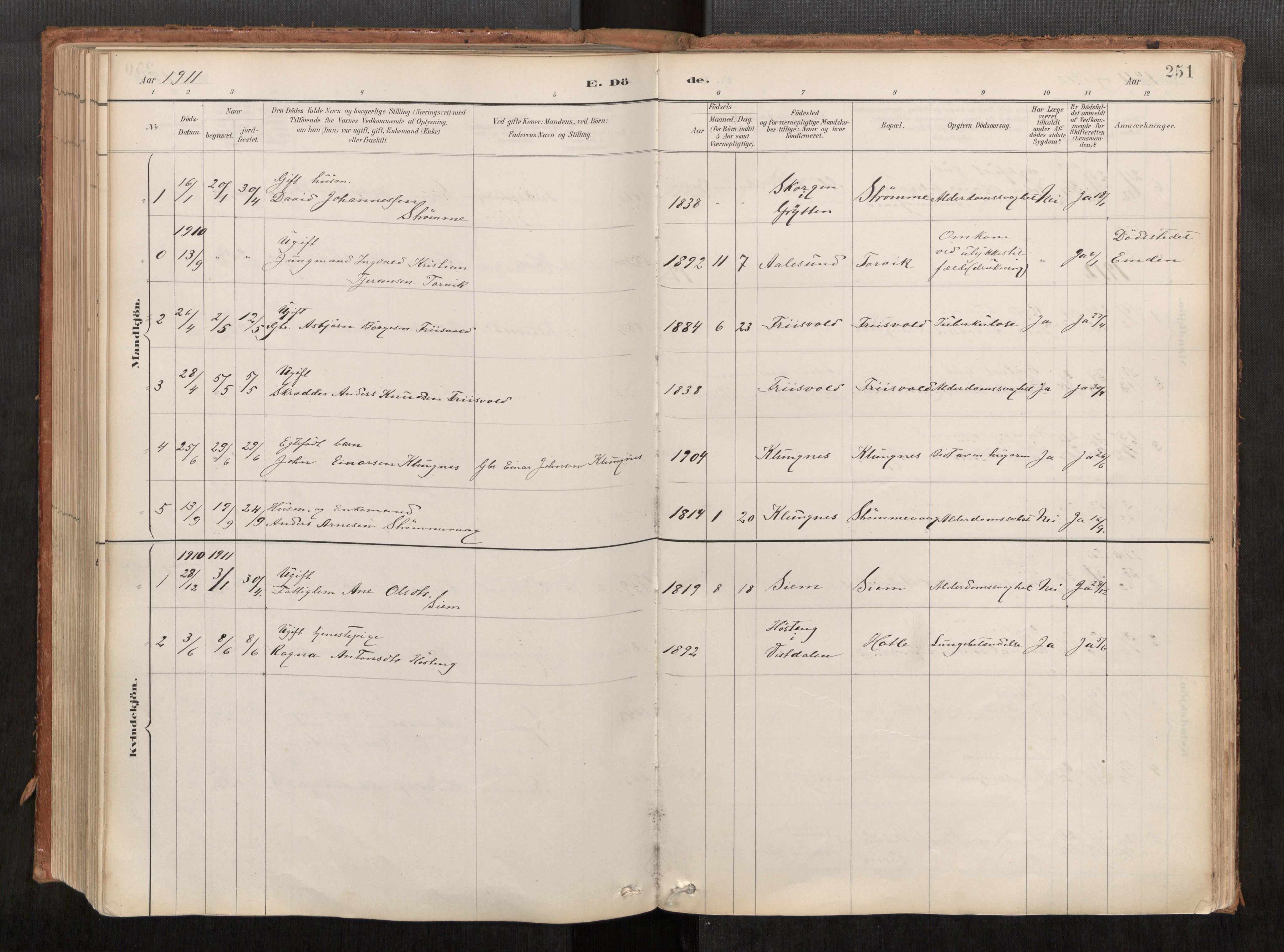 Ministerialprotokoller, klokkerbøker og fødselsregistre - Møre og Romsdal, AV/SAT-A-1454/542/L0553: Parish register (official) no. 542A03, 1885-1925, p. 251