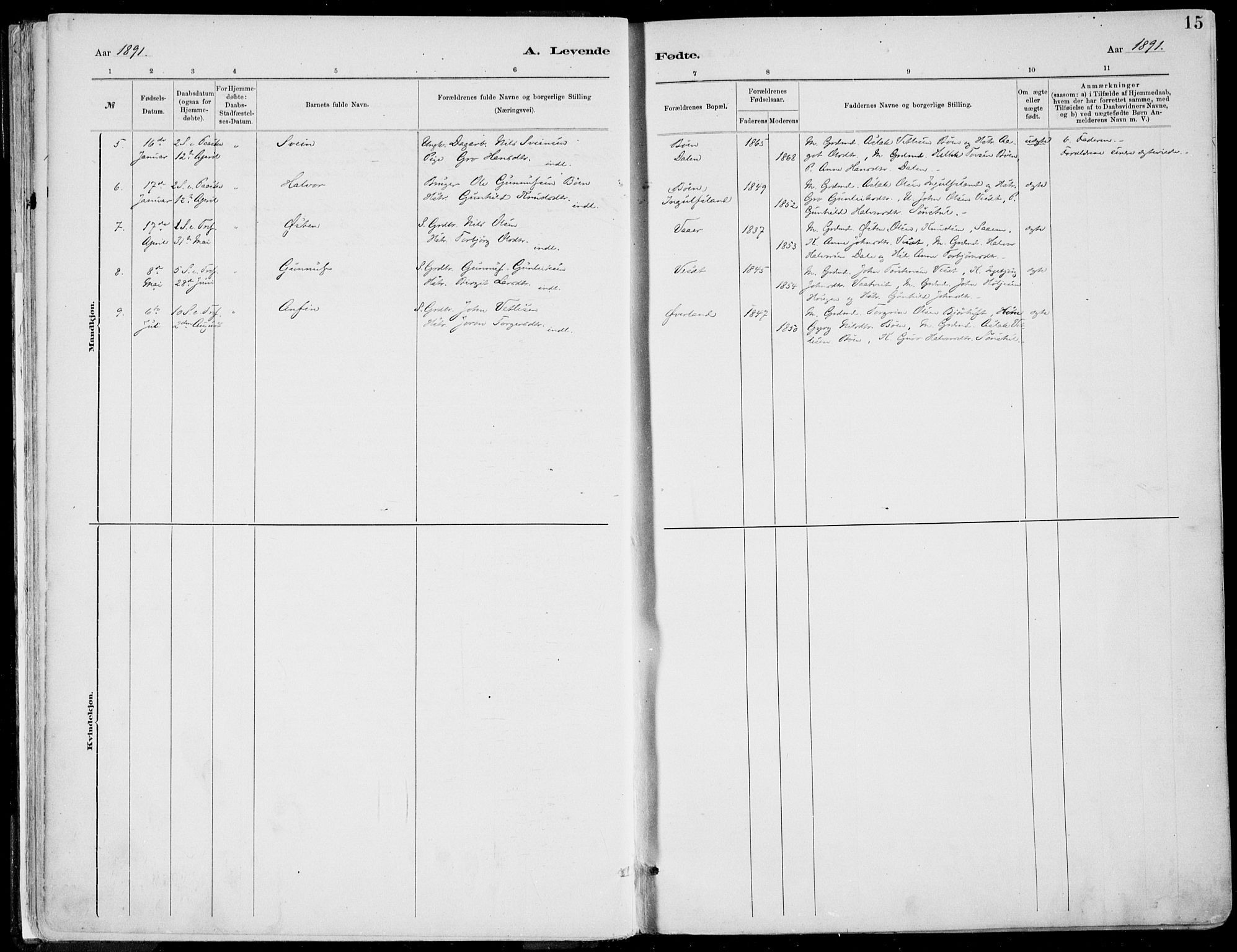 Rjukan kirkebøker, AV/SAKO-A-294/F/Fa/L0001: Parish register (official) no. 1, 1878-1912, p. 15