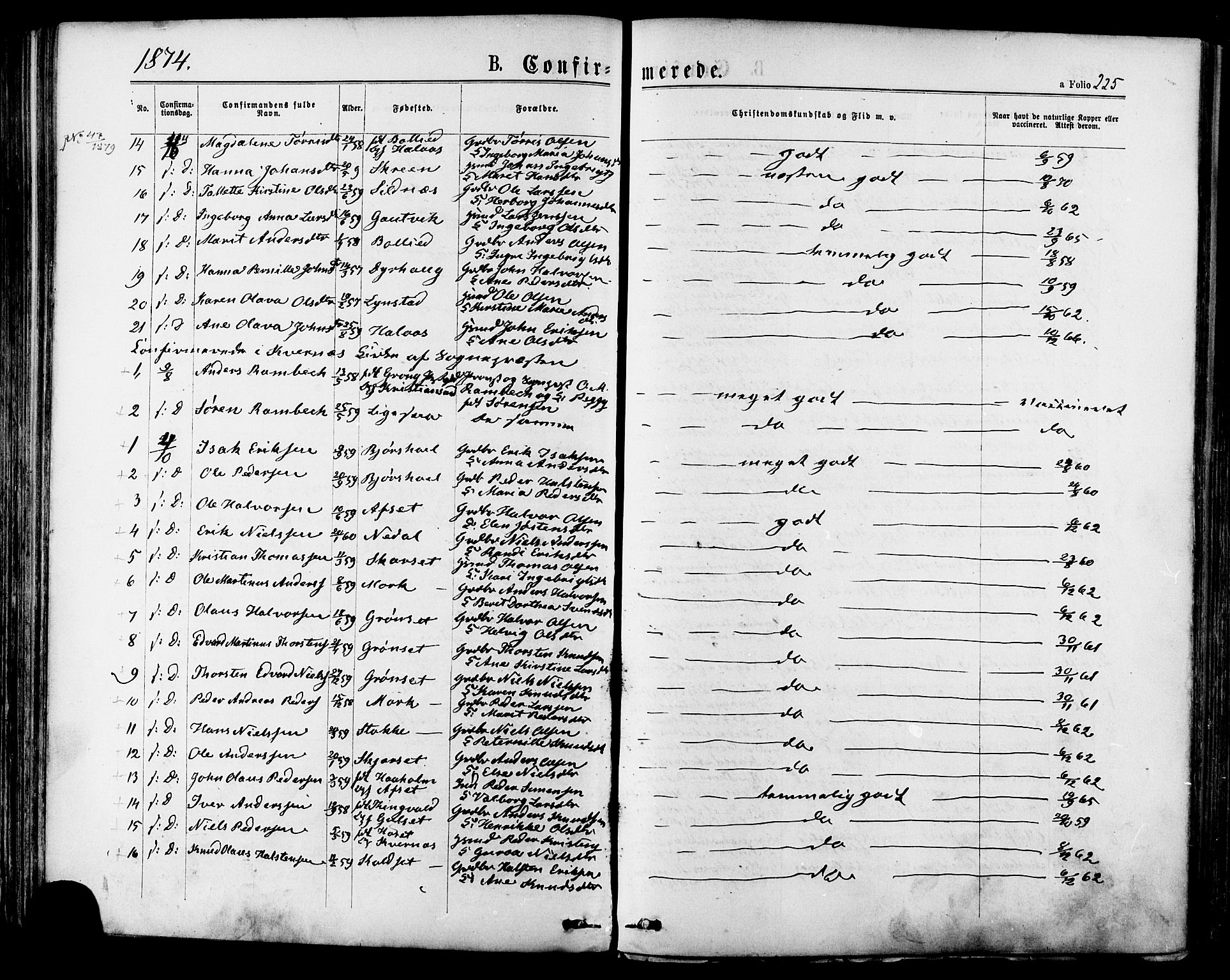 Ministerialprotokoller, klokkerbøker og fødselsregistre - Møre og Romsdal, AV/SAT-A-1454/568/L0805: Parish register (official) no. 568A12 /1, 1869-1884, p. 225