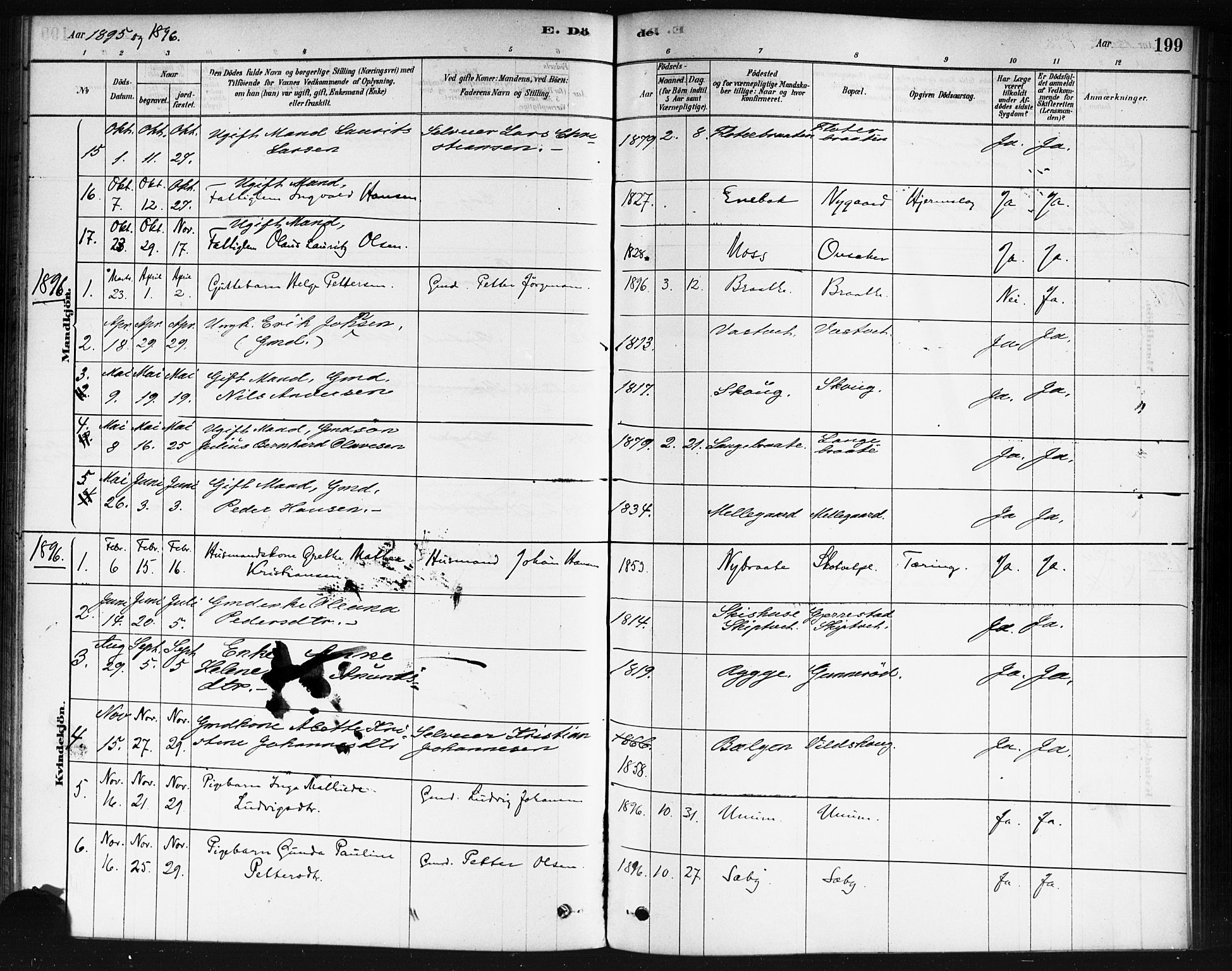 Våler prestekontor Kirkebøker, AV/SAO-A-11083/F/Fb/L0001: Parish register (official) no. II 1, 1878-1896, p. 199