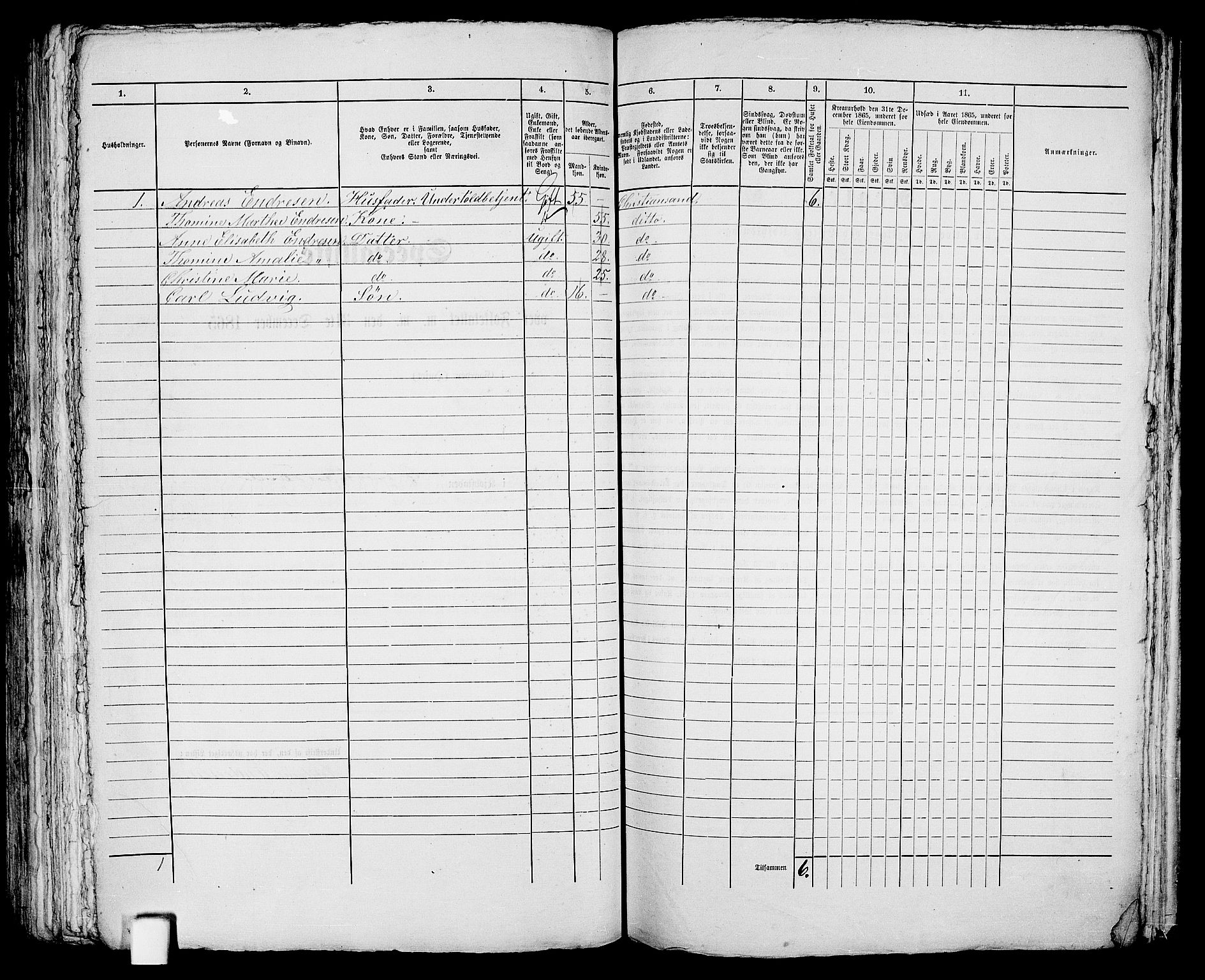 RA, 1865 census for Kristiansand, 1865, p. 299