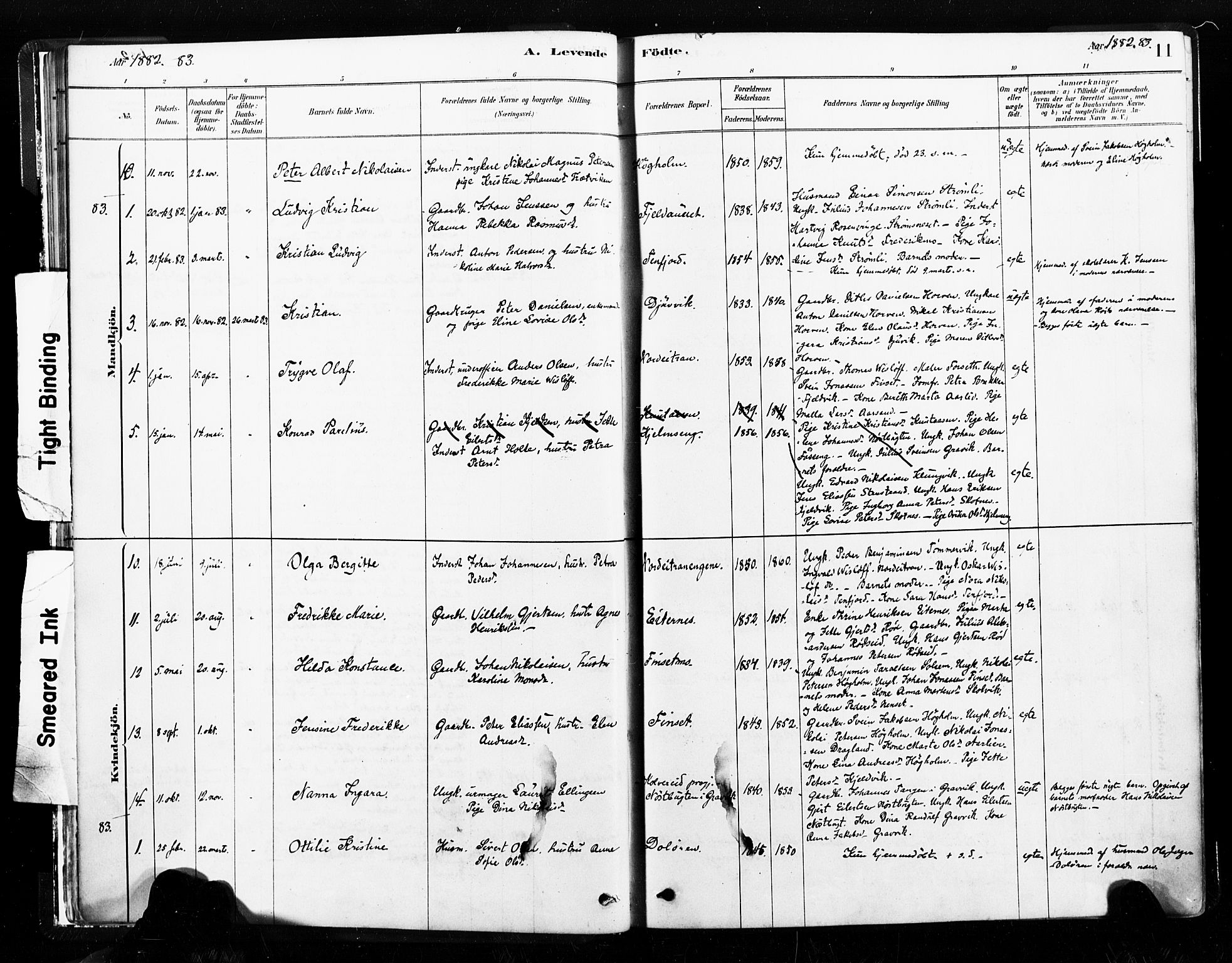 Ministerialprotokoller, klokkerbøker og fødselsregistre - Nord-Trøndelag, SAT/A-1458/789/L0705: Parish register (official) no. 789A01, 1878-1910, p. 11