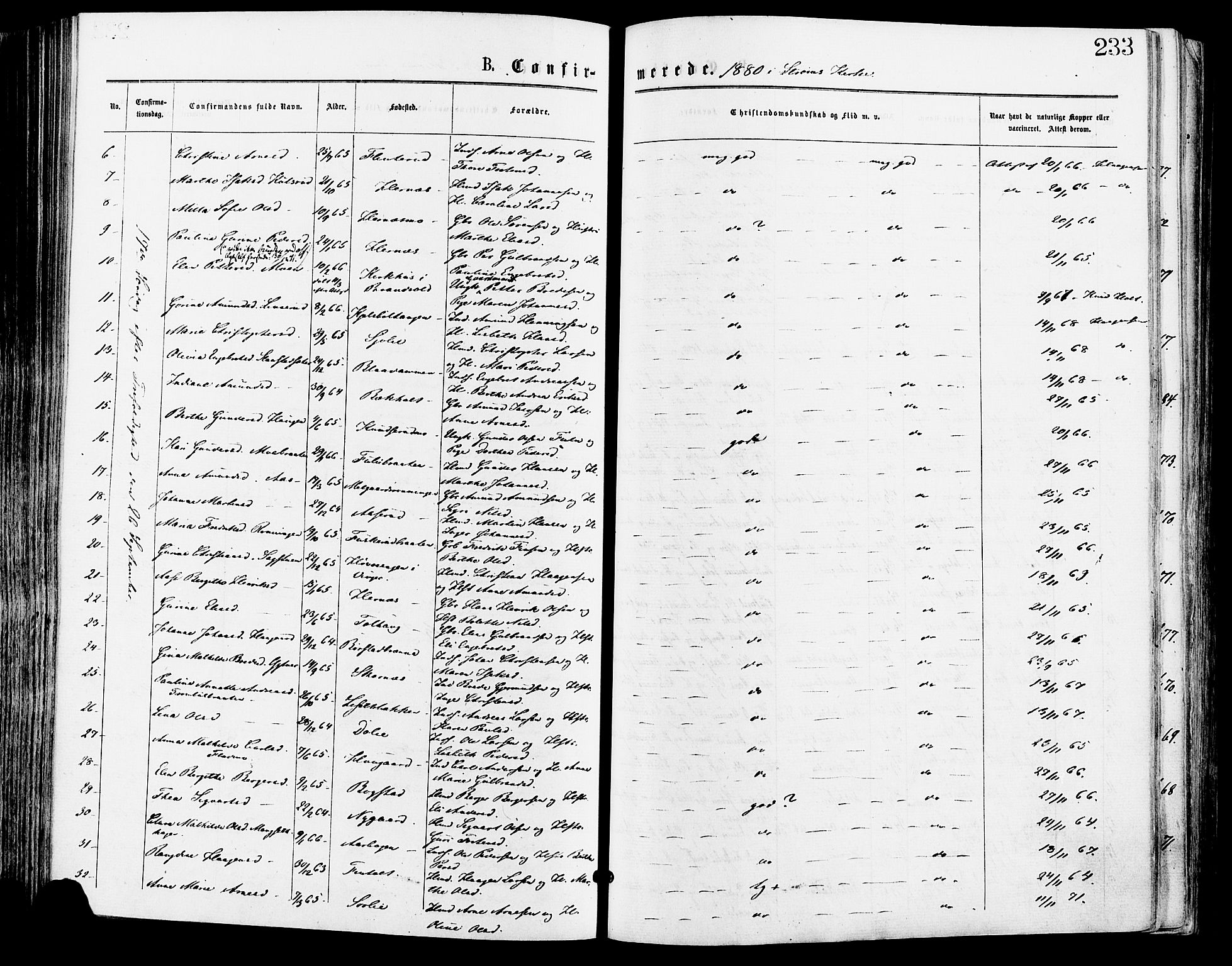 Sør-Odal prestekontor, AV/SAH-PREST-030/H/Ha/Haa/L0005: Parish register (official) no. 5, 1876-1885, p. 233