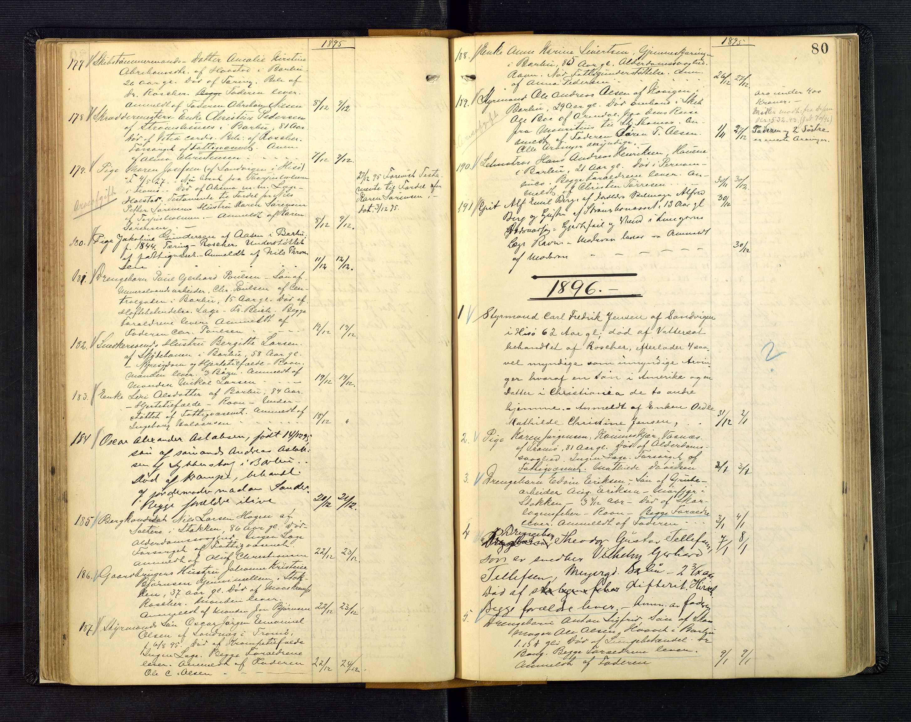 Nedenes sorenskriveri, AV/SAK-1221-0006/H/Ha/L0003: Dødsfallsprotokoll nr 3, 1890-1914, p. 80