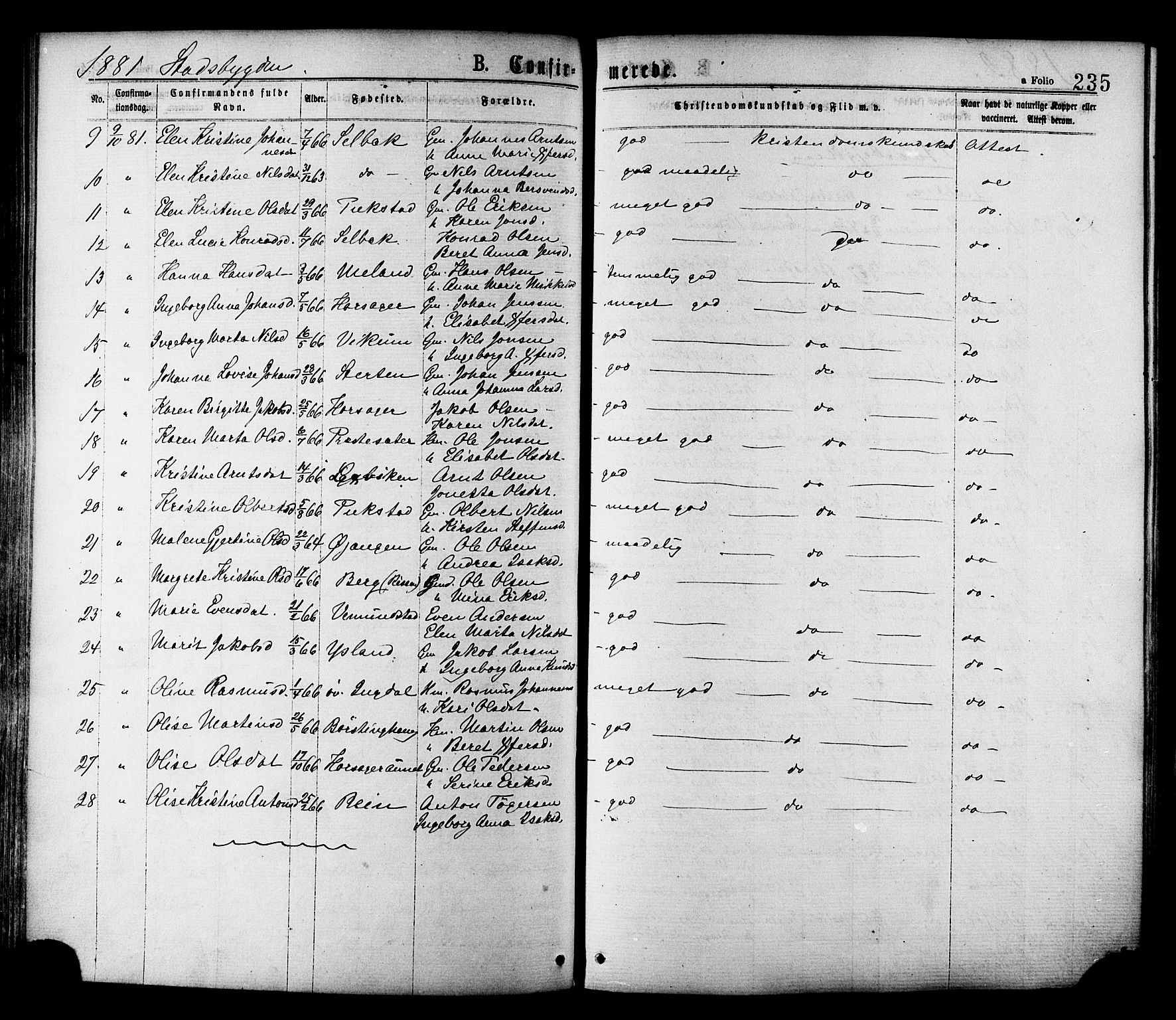 Ministerialprotokoller, klokkerbøker og fødselsregistre - Sør-Trøndelag, AV/SAT-A-1456/646/L0613: Parish register (official) no. 646A11, 1870-1884, p. 235