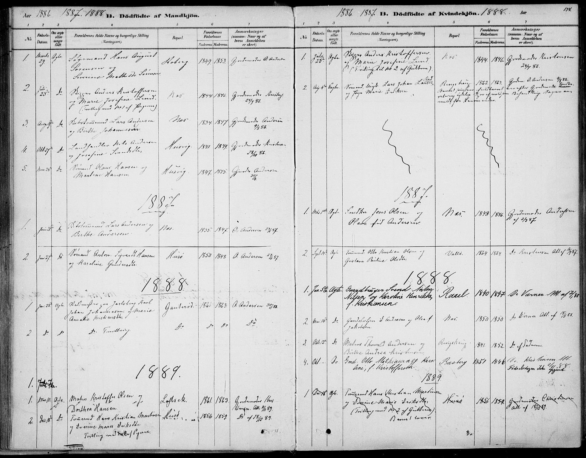 Sem kirkebøker, AV/SAKO-A-5/F/Fb/L0004: Parish register (official) no. II 4, 1878-1891, p. 134