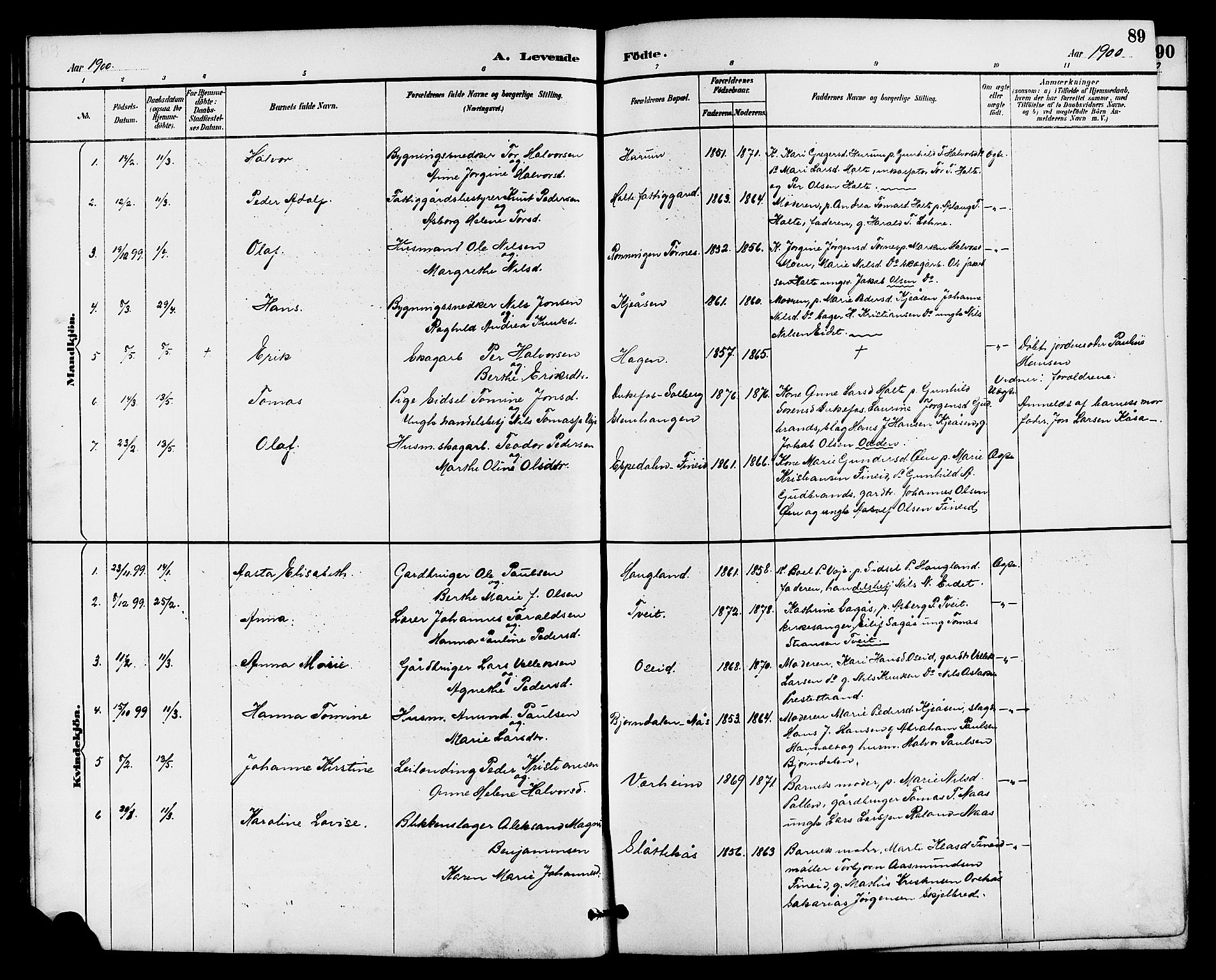 Drangedal kirkebøker, SAKO/A-258/G/Ga/L0003: Parish register (copy) no. I 3, 1887-1906, p. 89