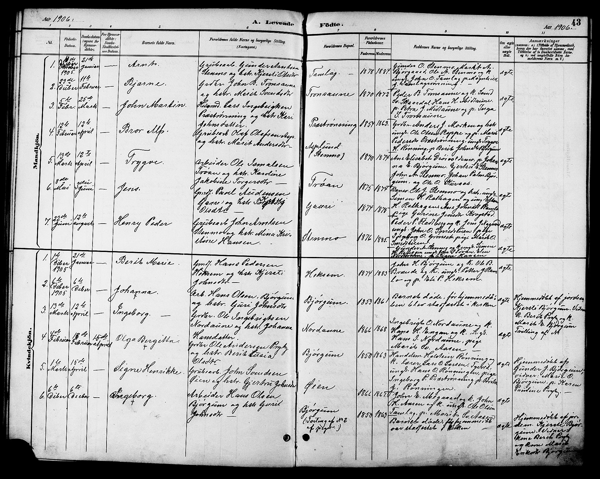 Ministerialprotokoller, klokkerbøker og fødselsregistre - Sør-Trøndelag, SAT/A-1456/685/L0978: Parish register (copy) no. 685C03, 1891-1907, p. 43