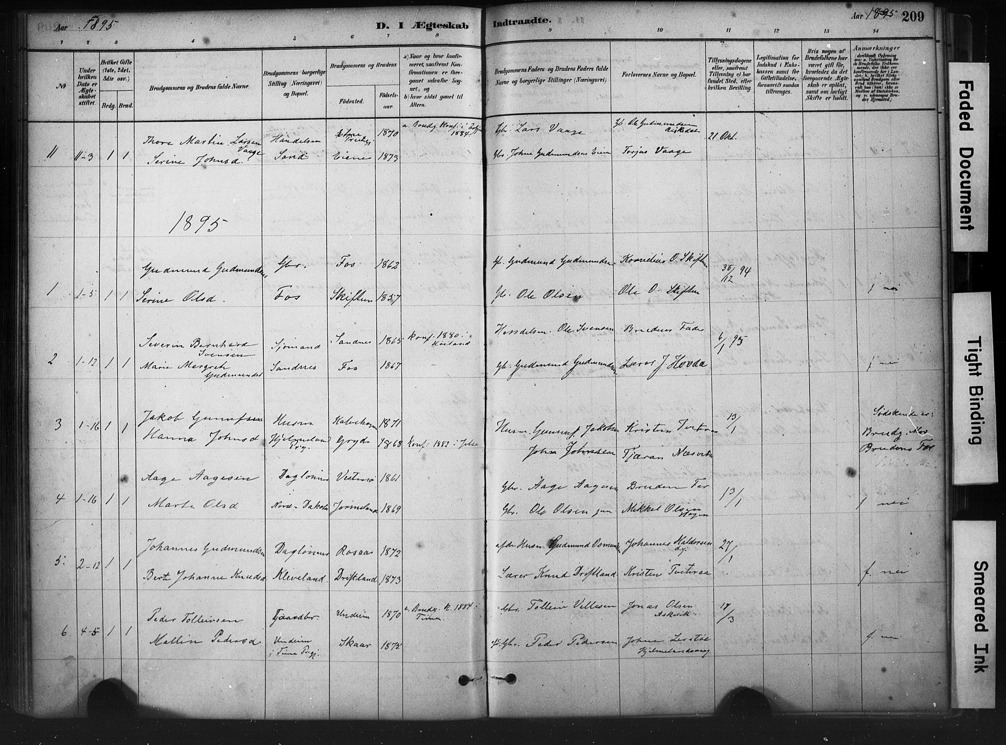 Hjelmeland sokneprestkontor, AV/SAST-A-101843/01/IV/L0014: Parish register (official) no. A 14, 1879-1900, p. 209