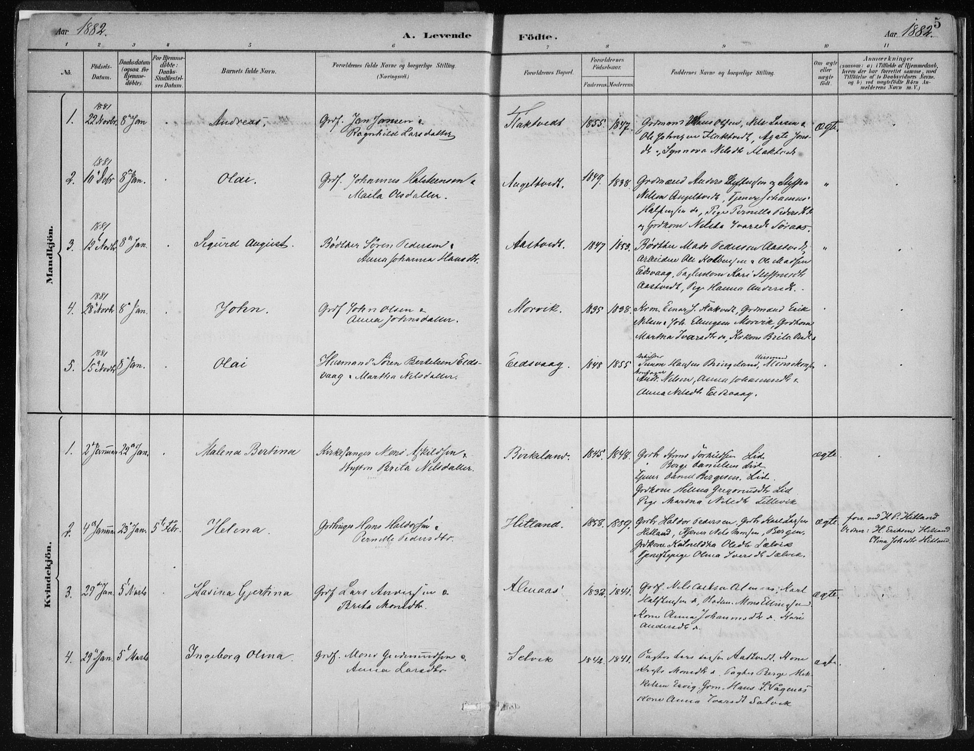 Hamre sokneprestembete, SAB/A-75501/H/Ha/Haa/Haad/L0001: Parish register (official) no. D  1, 1882-1906, p. 5