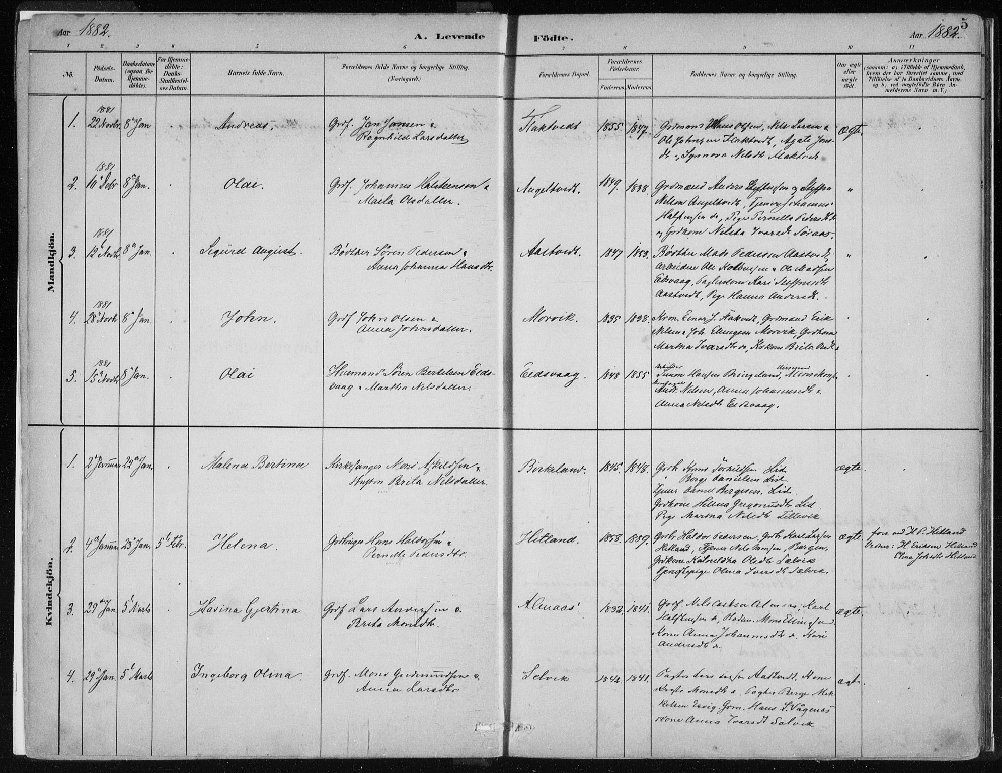 Hamre sokneprestembete, AV/SAB-A-75501/H/Ha/Haa/Haad/L0001: Parish register (official) no. D  1, 1882-1906, p. 5