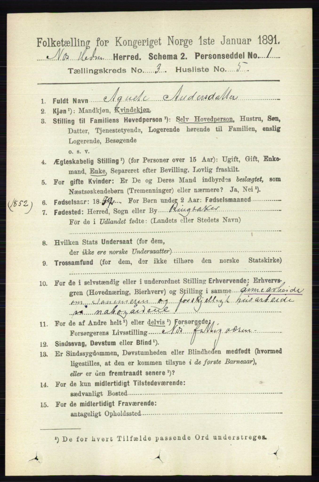 RA, 1891 census for 0411 Nes, 1891, p. 1618