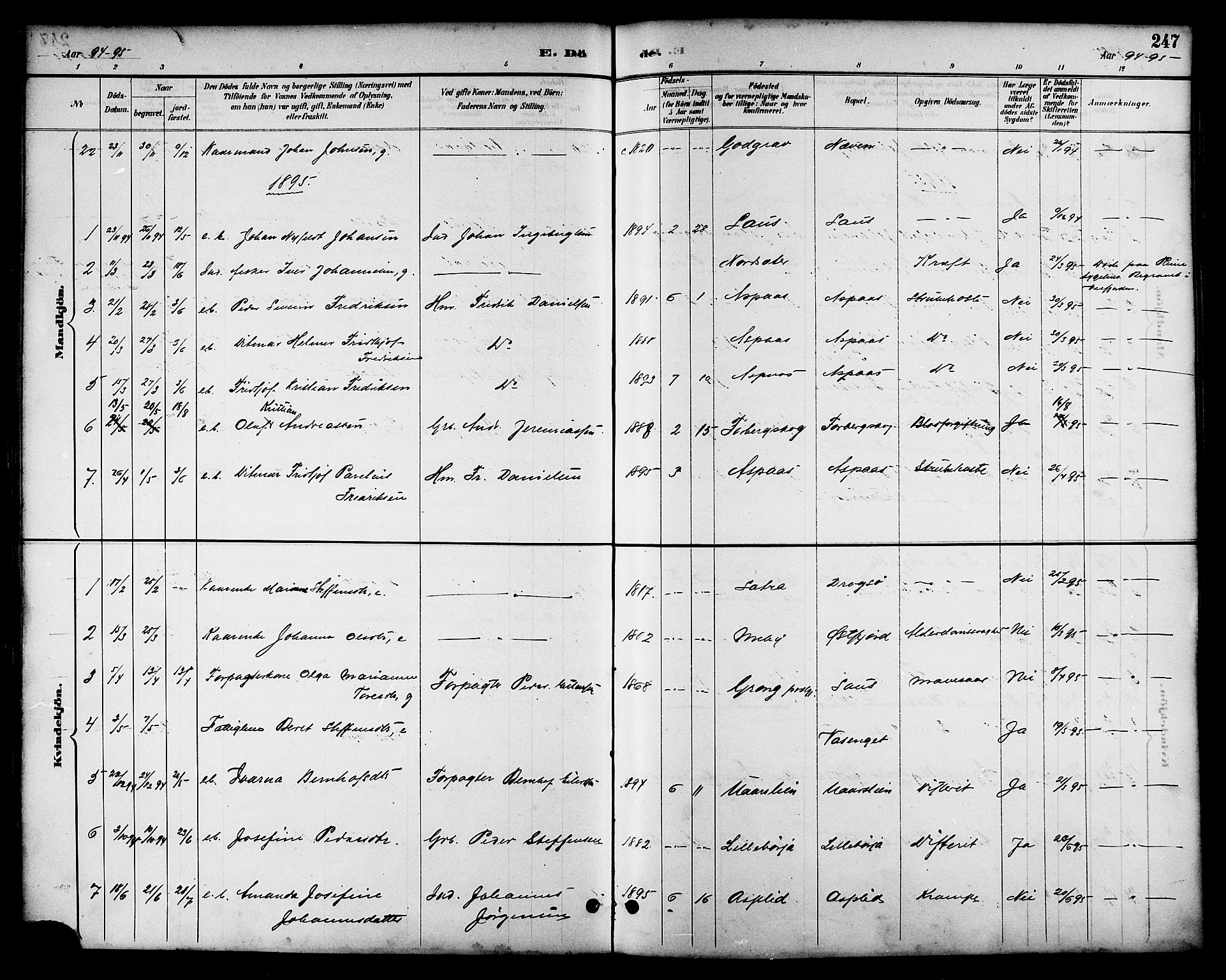 Ministerialprotokoller, klokkerbøker og fødselsregistre - Nordland, AV/SAT-A-1459/814/L0230: Parish register (copy) no. 814C03, 1884-1911, p. 247