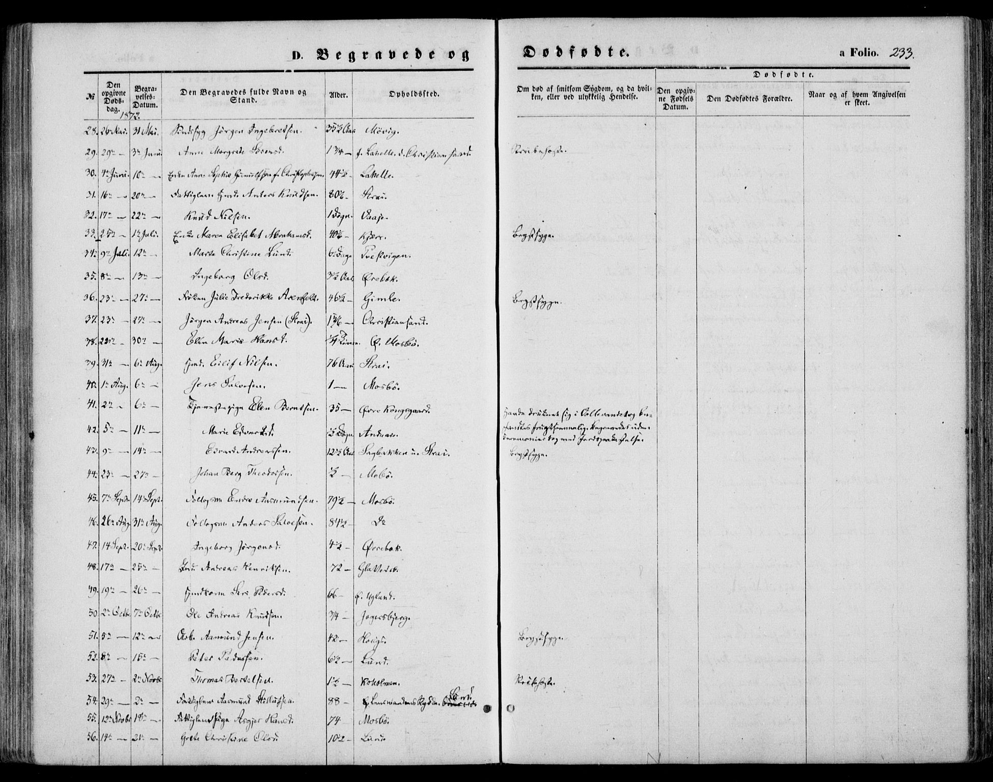 Oddernes sokneprestkontor, AV/SAK-1111-0033/F/Fa/Faa/L0008: Parish register (official) no. A 8, 1864-1880, p. 233