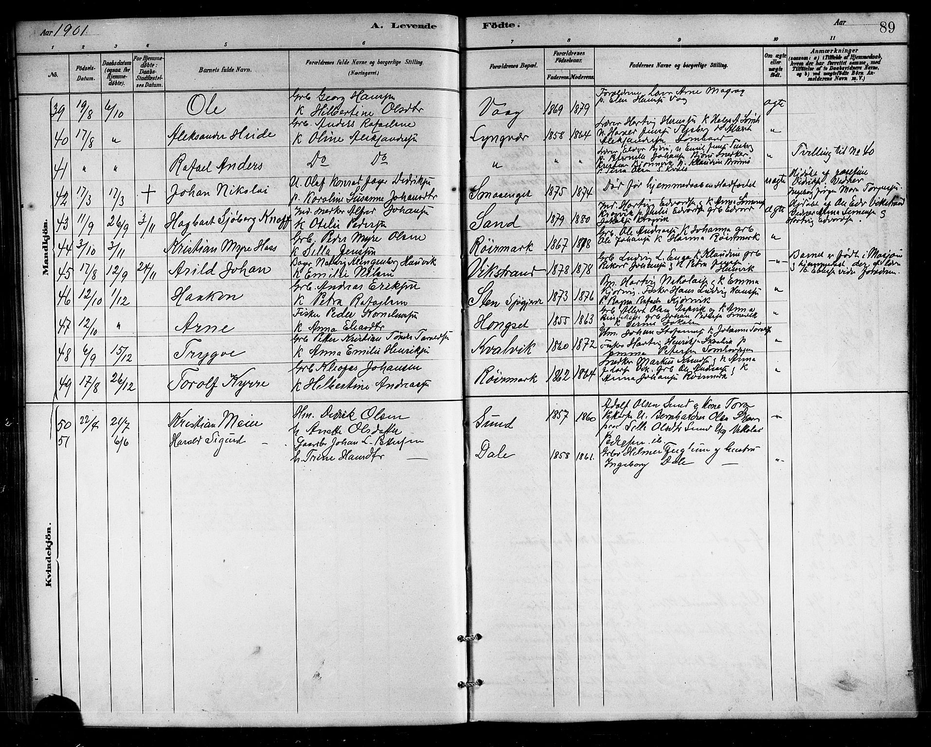 Ministerialprotokoller, klokkerbøker og fødselsregistre - Nordland, SAT/A-1459/812/L0188: Parish register (copy) no. 812C06, 1884-1912, p. 89