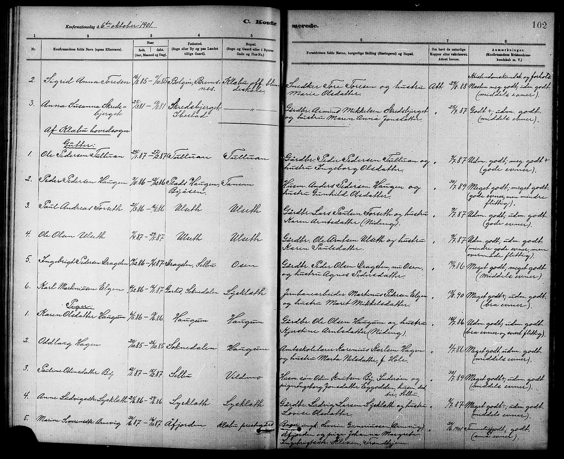 Ministerialprotokoller, klokkerbøker og fødselsregistre - Sør-Trøndelag, SAT/A-1456/618/L0452: Parish register (copy) no. 618C03, 1884-1906, p. 102