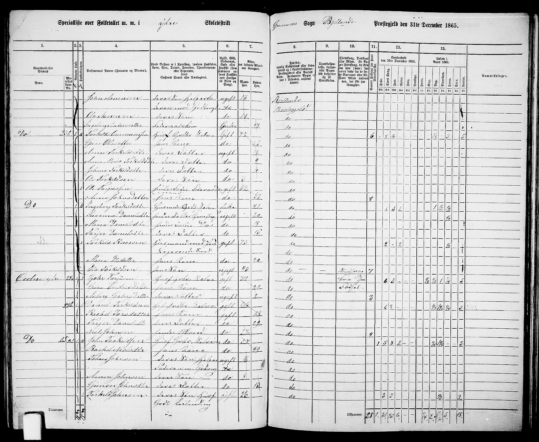 RA, 1865 census for Bjelland, 1865, p. 49