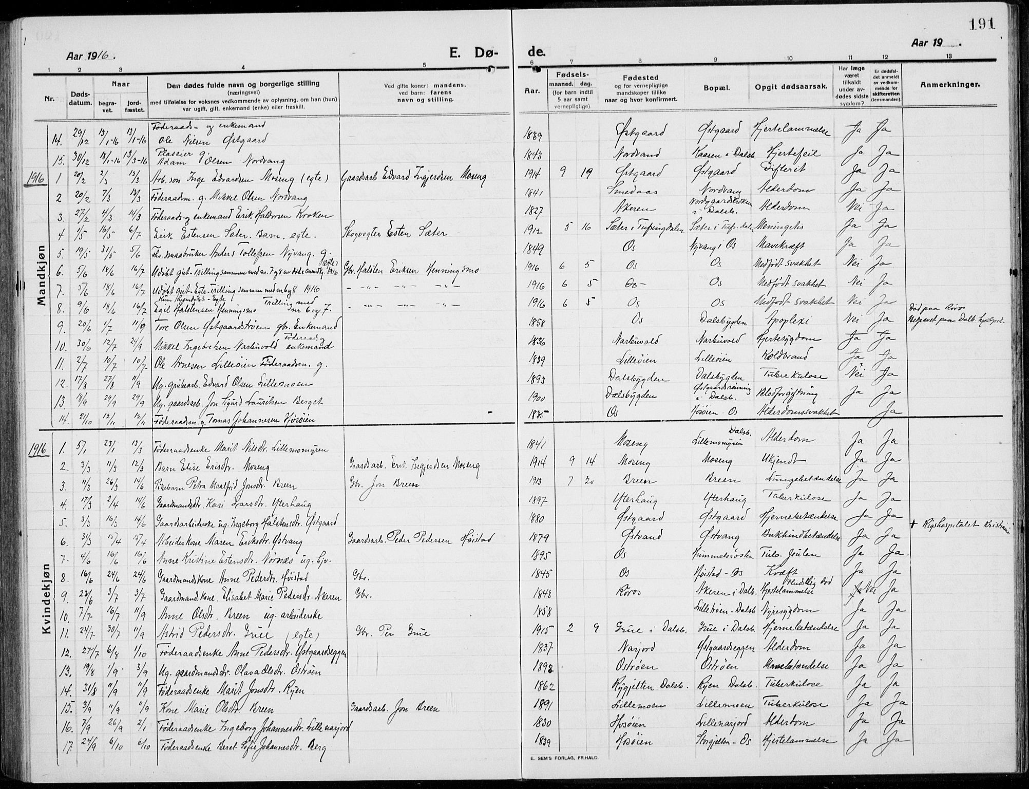 Tolga prestekontor, AV/SAH-PREST-062/L/L0014: Parish register (copy) no. 14, 1913-1936, p. 191