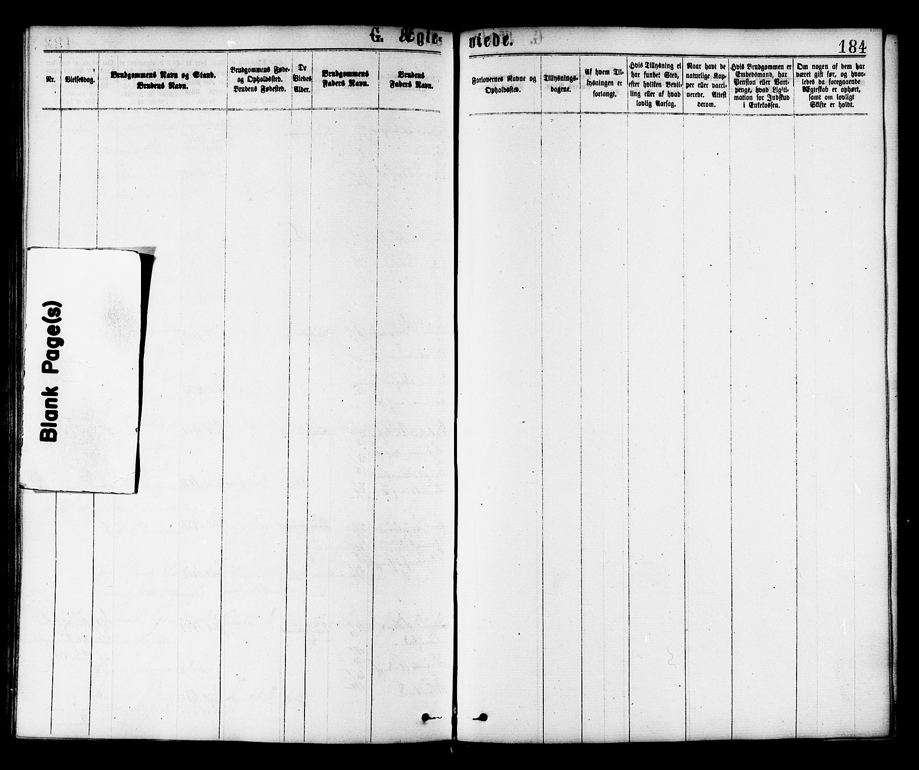 Ministerialprotokoller, klokkerbøker og fødselsregistre - Nord-Trøndelag, SAT/A-1458/758/L0516: Parish register (official) no. 758A03 /2, 1869-1879, p. 184