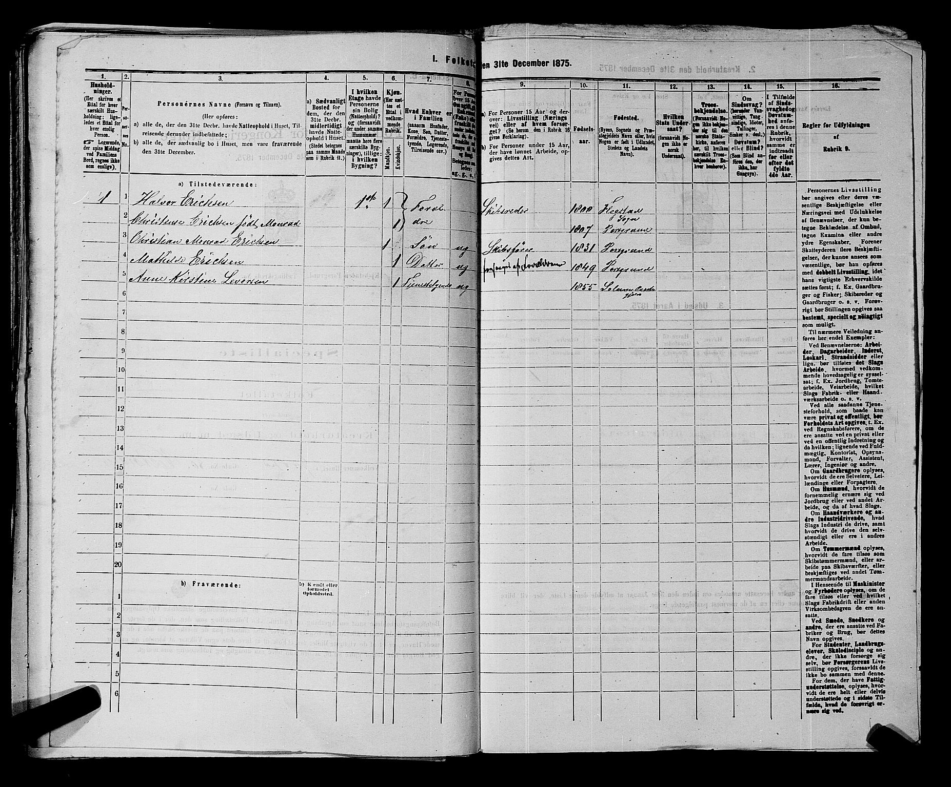 SAKO, 1875 census for 0805P Porsgrunn, 1875, p. 972