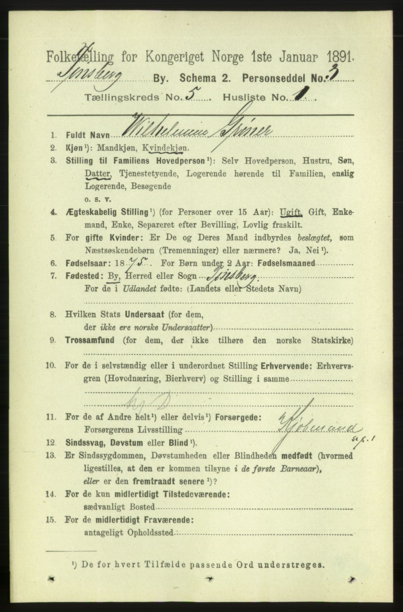 RA, 1891 census for 0705 Tønsberg, 1891, p. 2202