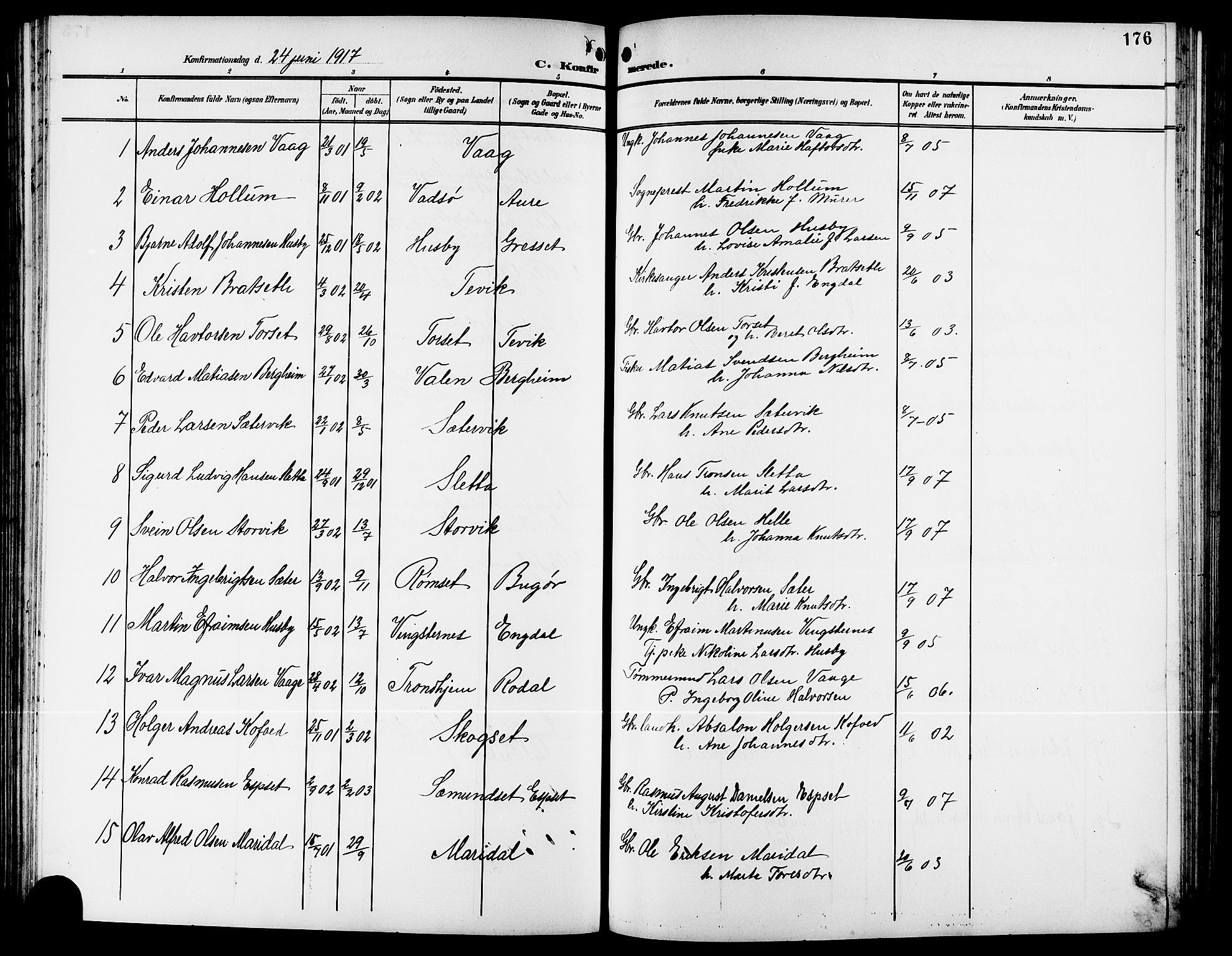 Ministerialprotokoller, klokkerbøker og fødselsregistre - Møre og Romsdal, AV/SAT-A-1454/578/L0910: Parish register (copy) no. 578C03, 1900-1921, p. 176