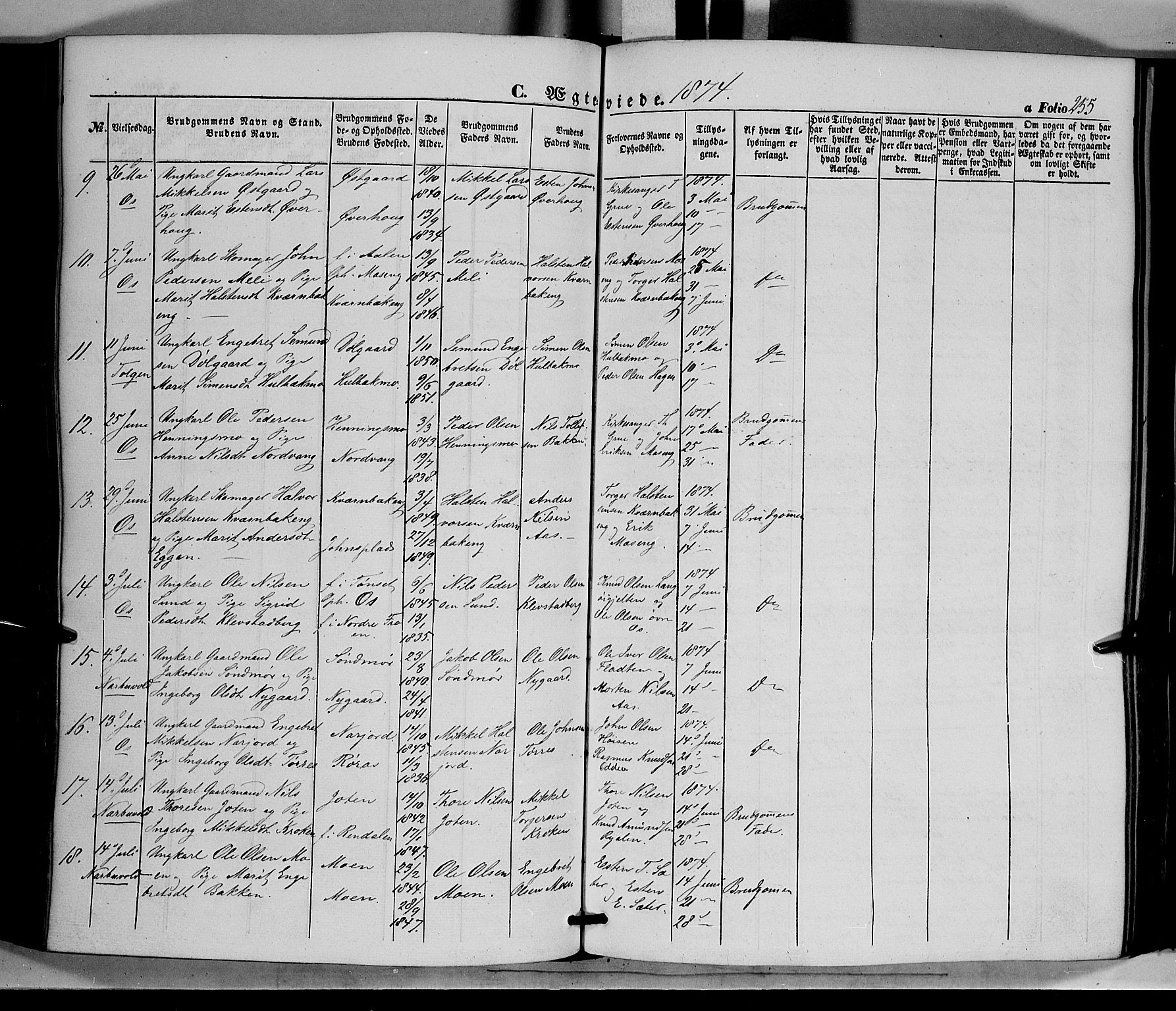 Tolga prestekontor, AV/SAH-PREST-062/K/L0006: Parish register (official) no. 6, 1852-1876, p. 255