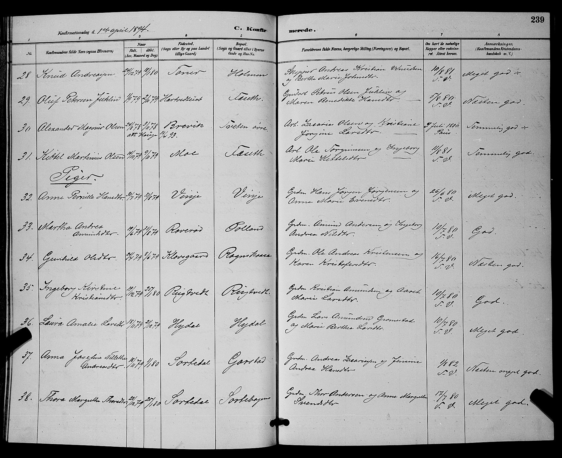 Bamble kirkebøker, AV/SAKO-A-253/G/Ga/L0009: Parish register (copy) no. I 9, 1888-1900, p. 239