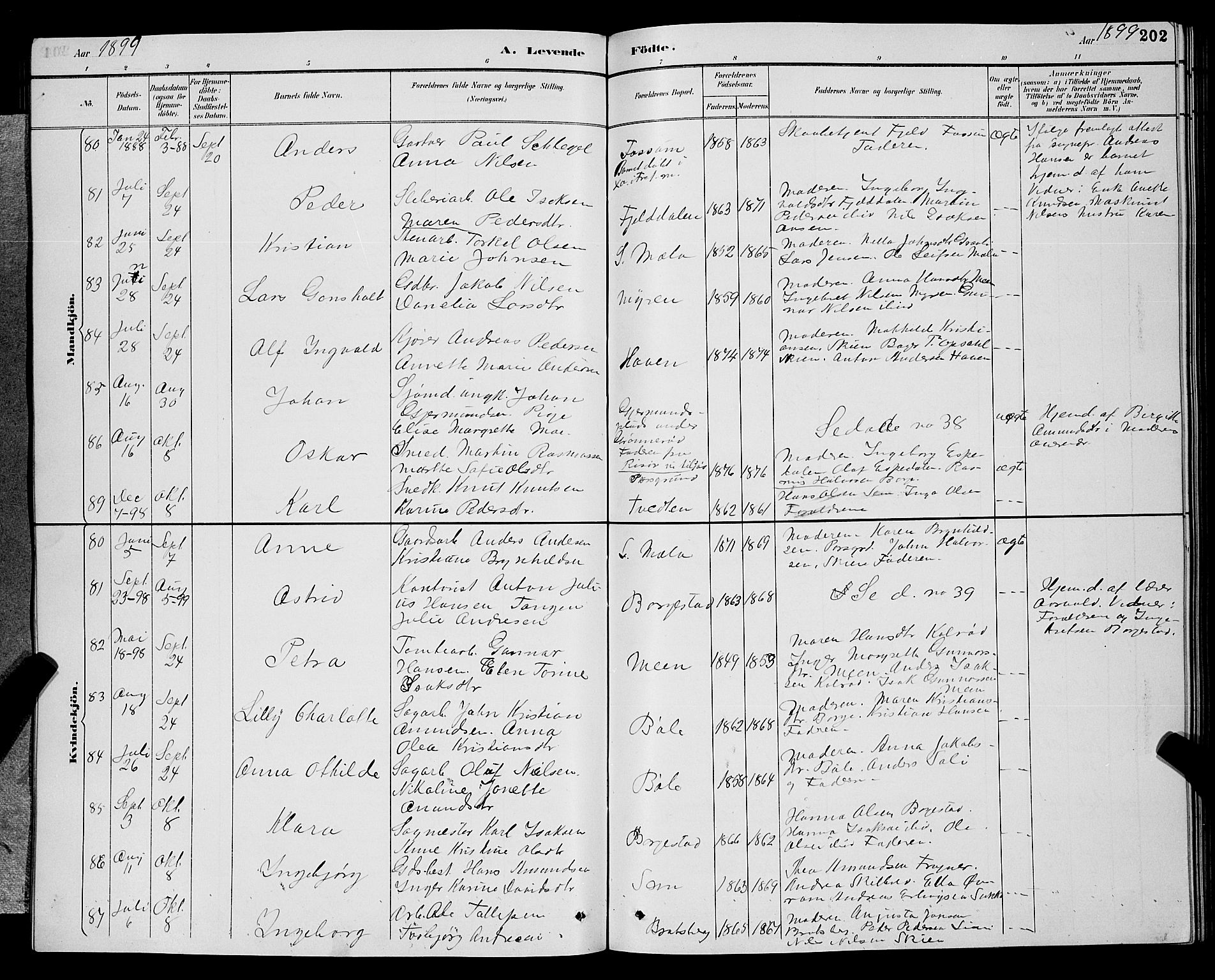 Gjerpen kirkebøker, AV/SAKO-A-265/G/Ga/L0002: Parish register (copy) no. I 2, 1883-1900, p. 202