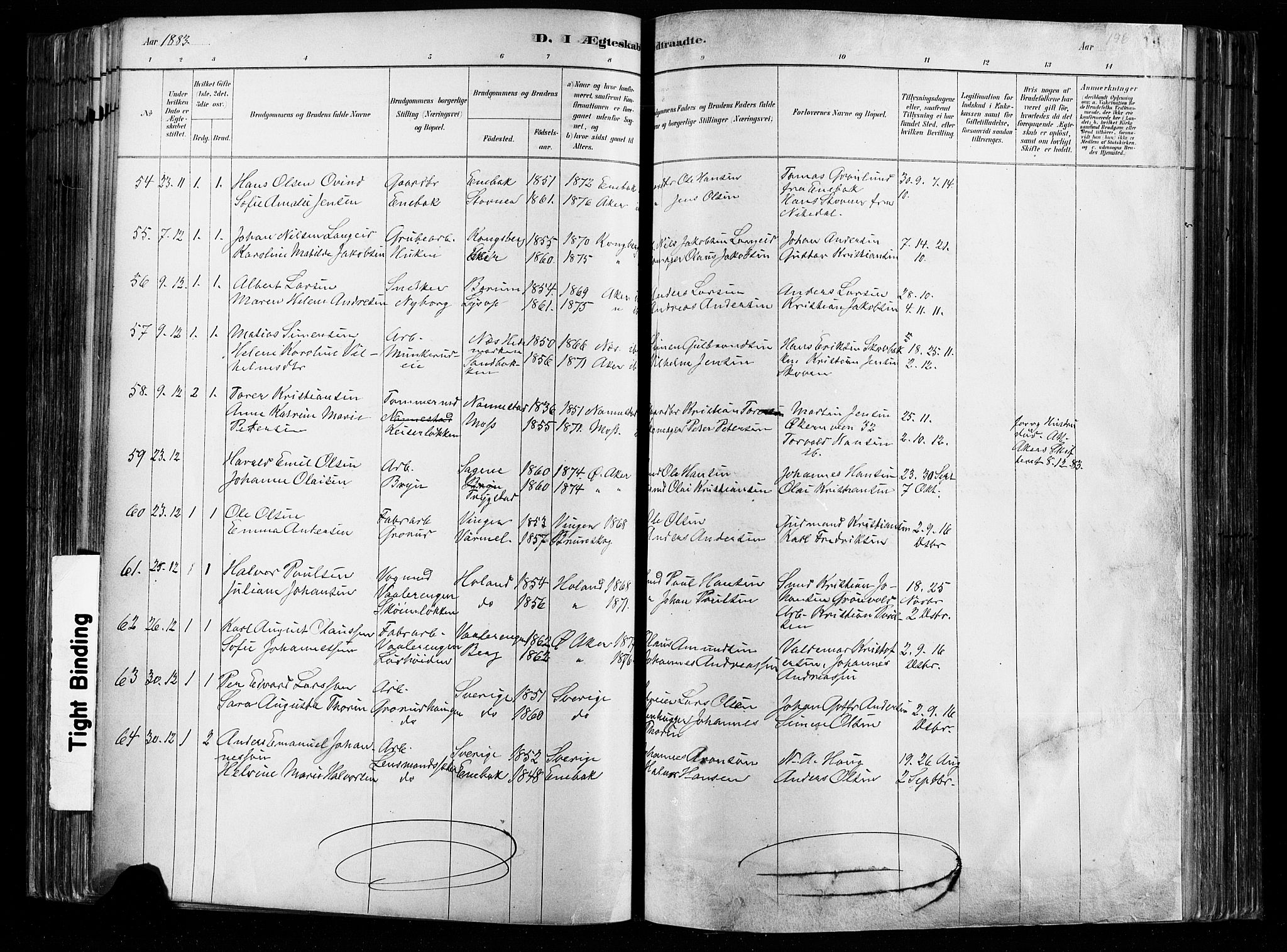 Østre Aker prestekontor Kirkebøker, AV/SAO-A-10840/F/Fa/L0008: Parish register (official) no. I 8, 1883-1894, p. 196