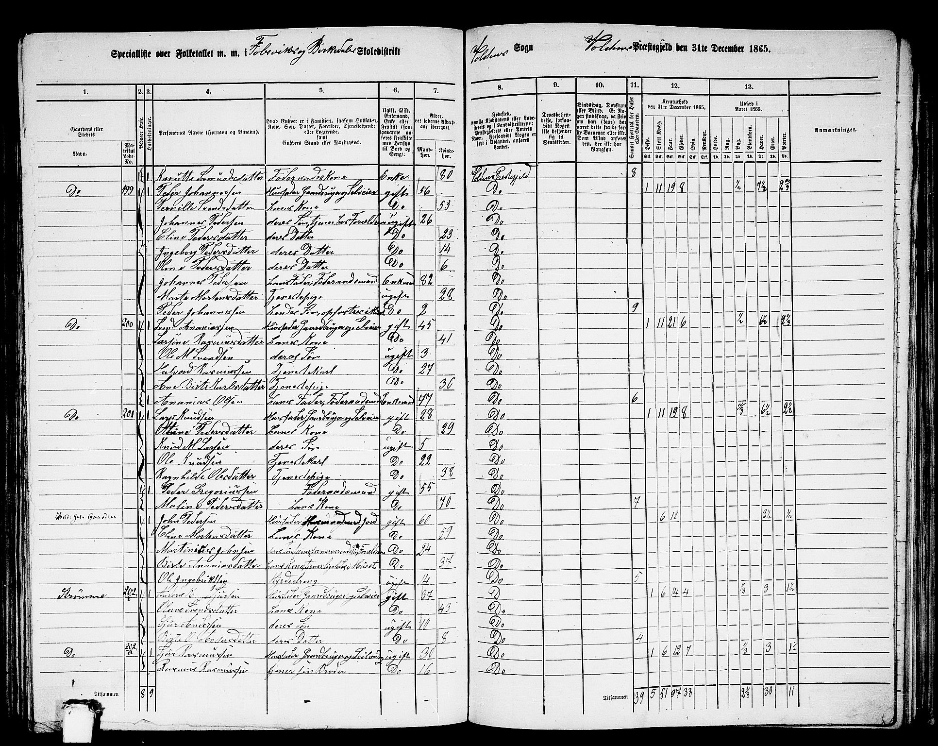 RA, 1865 census for Volda, 1865, p. 117