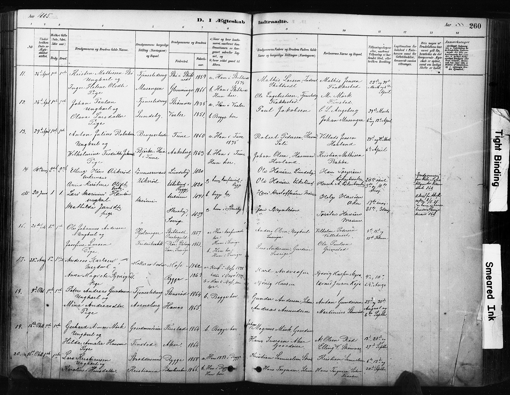 Råde prestekontor kirkebøker, AV/SAO-A-2009/F/Fa/L0007: Parish register (official) no. 7, 1878-1902, p. 260