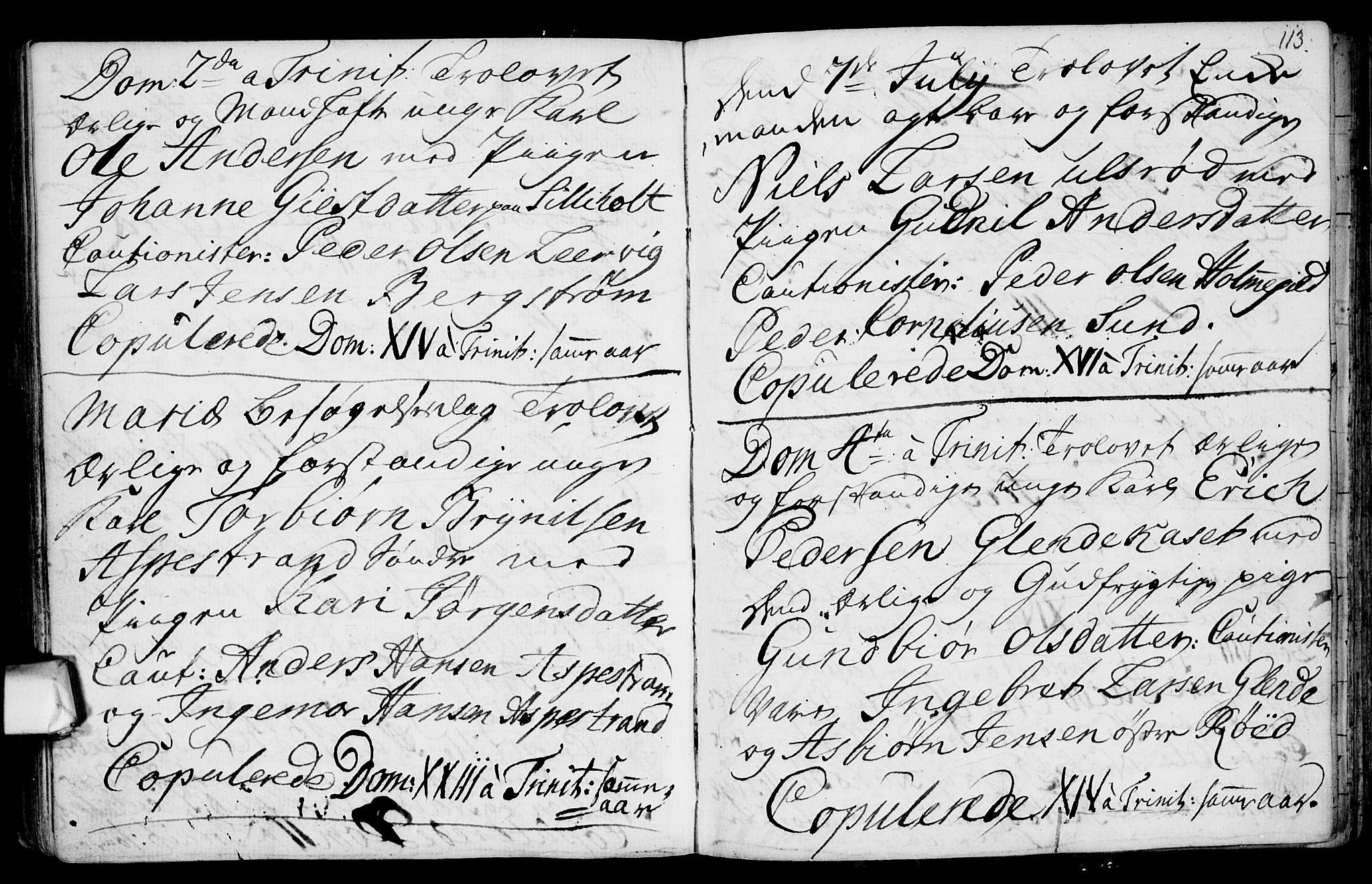 Aremark prestekontor Kirkebøker, AV/SAO-A-10899/F/Fa/L0003: Parish register (official) no. I 3, 1745-1795, p. 113