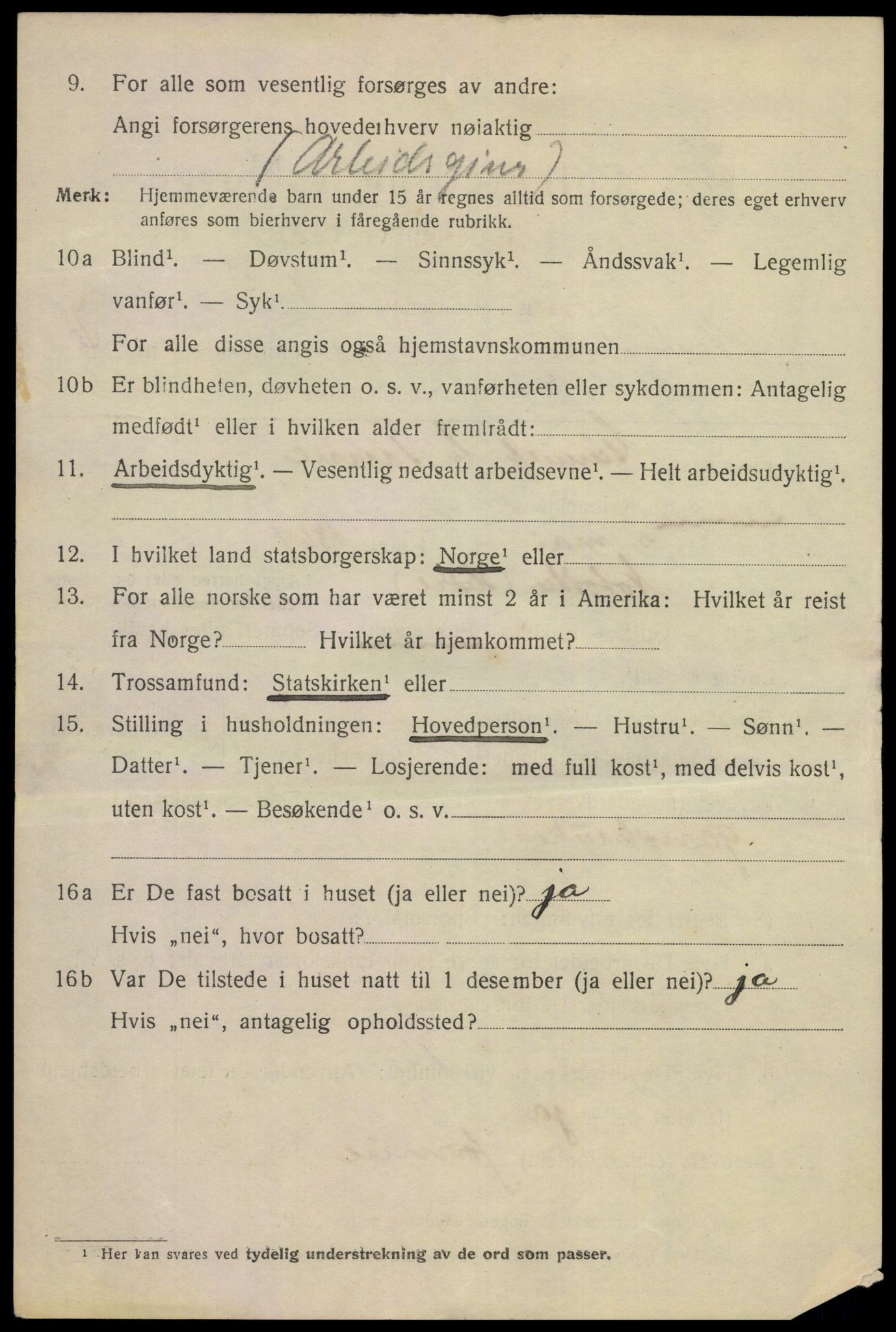 SAKO, 1920 census for Notodden, 1920, p. 15207