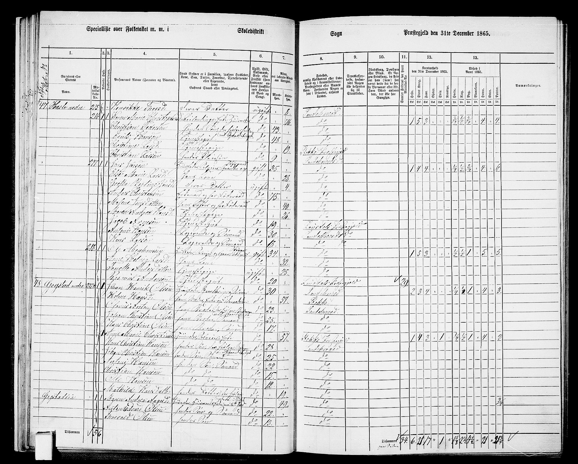 RA, 1865 census for Sandeherred/Sandeherred, 1865, p. 30