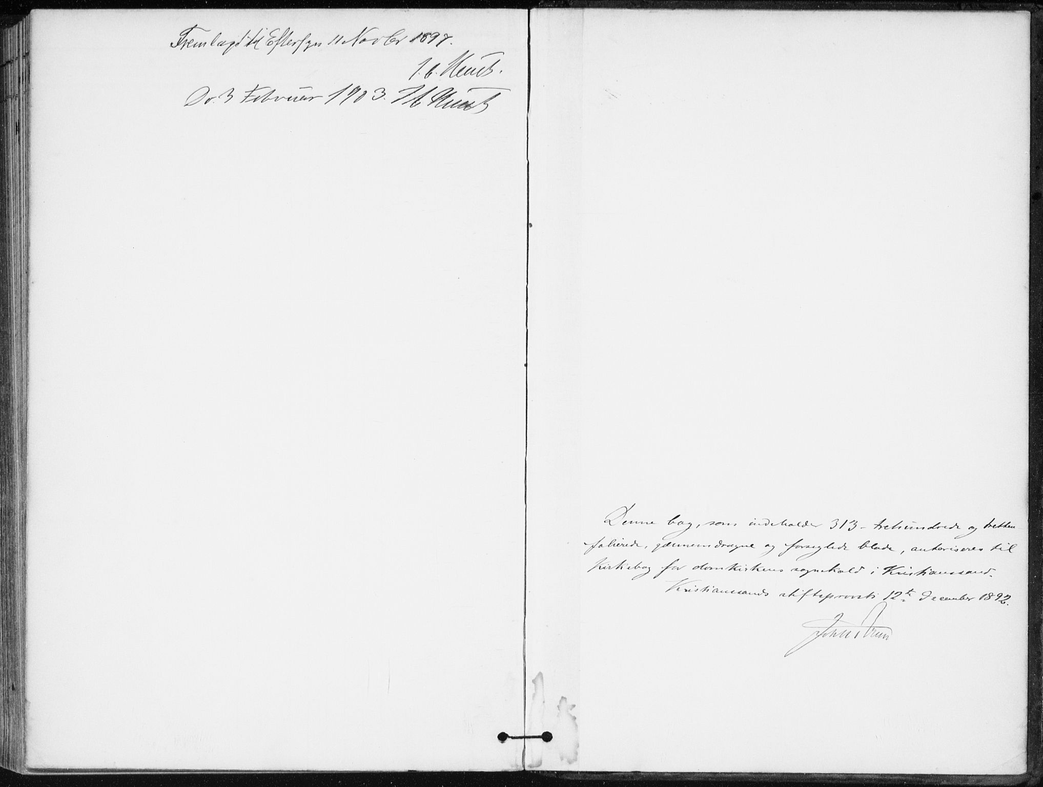 Kristiansand domprosti, AV/SAK-1112-0006/F/Fa/L0020: Parish register (official) no. A 19, 1893-1904