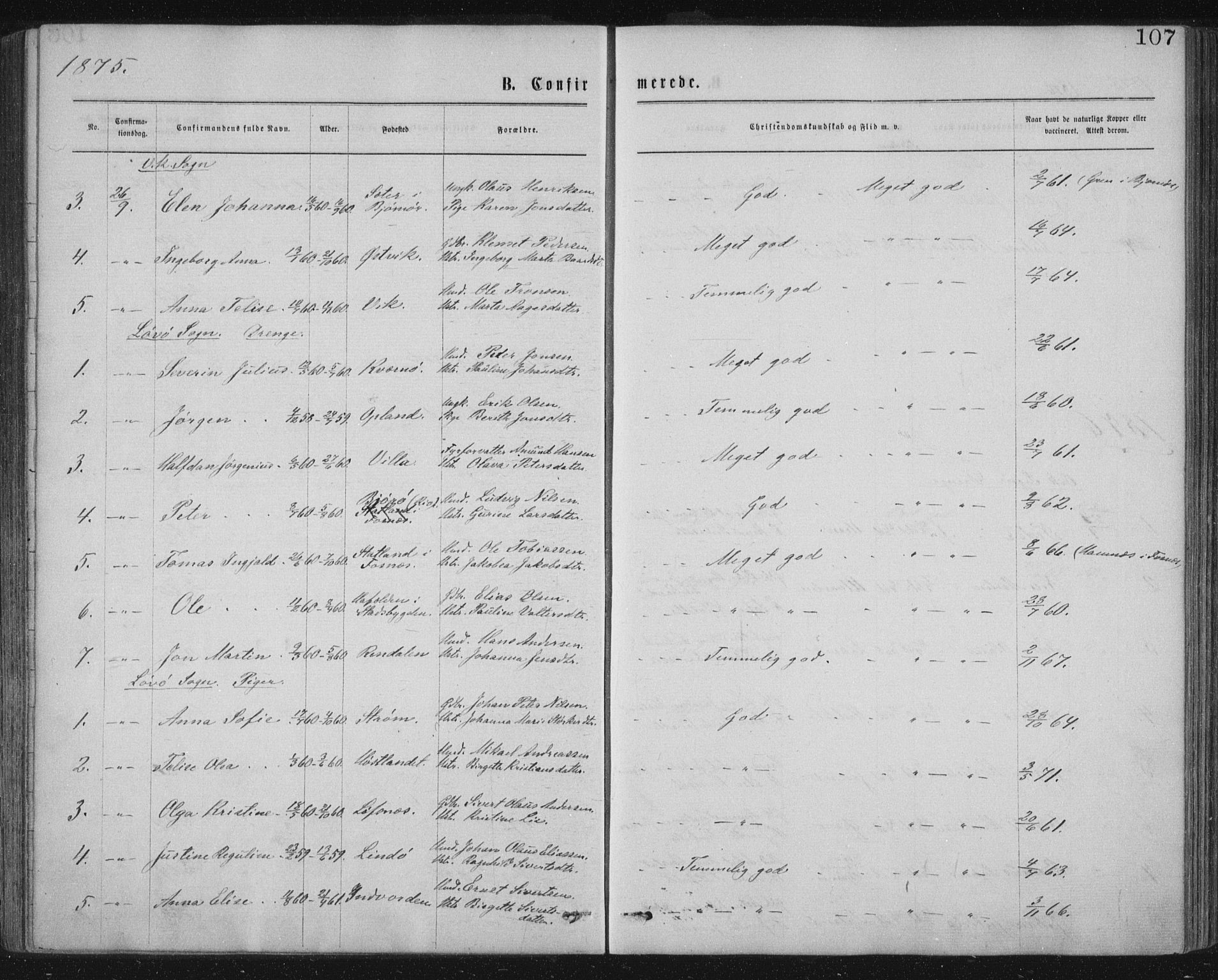 Ministerialprotokoller, klokkerbøker og fødselsregistre - Nord-Trøndelag, AV/SAT-A-1458/771/L0596: Parish register (official) no. 771A03, 1870-1884, p. 107