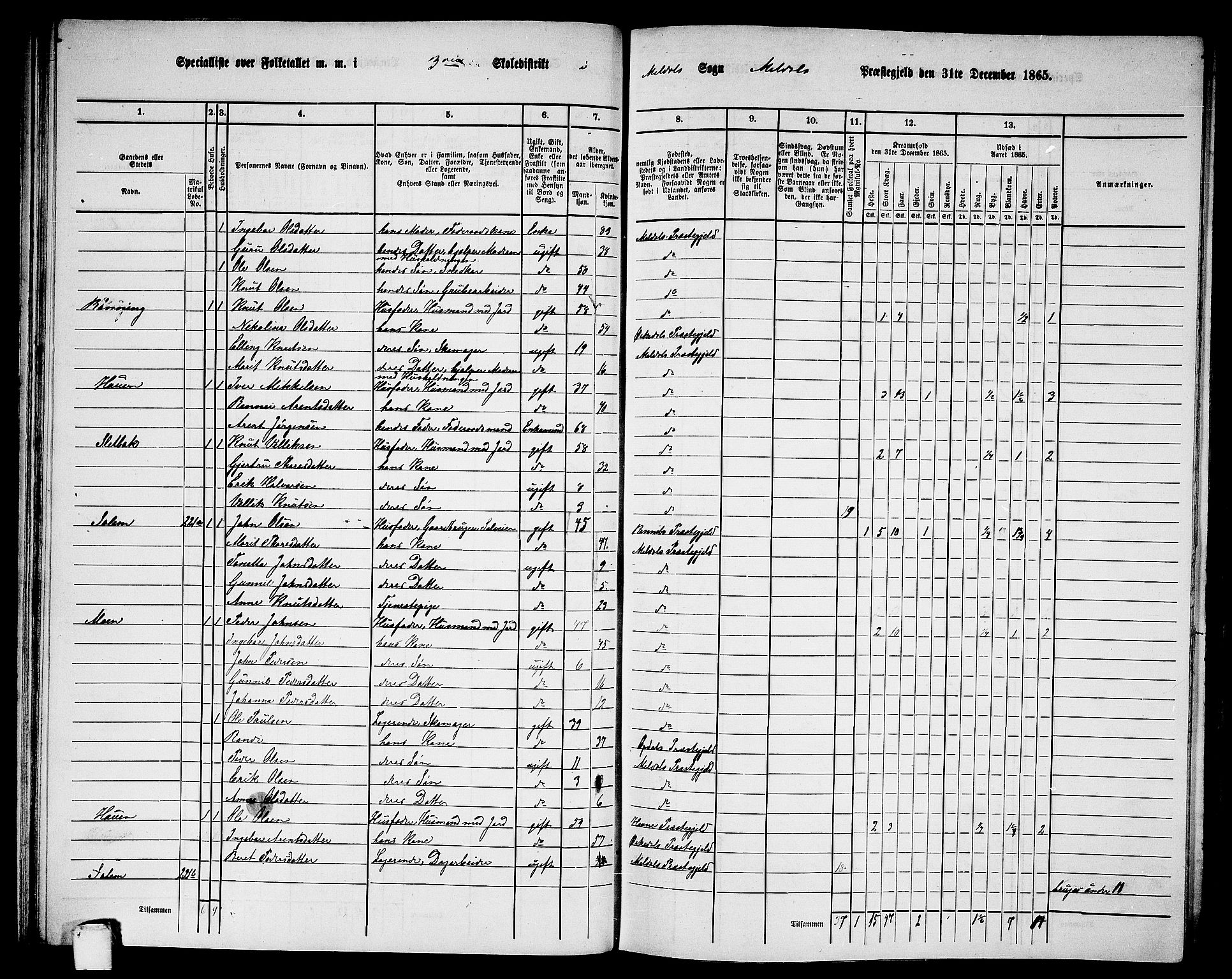 RA, 1865 census for Meldal, 1865, p. 82