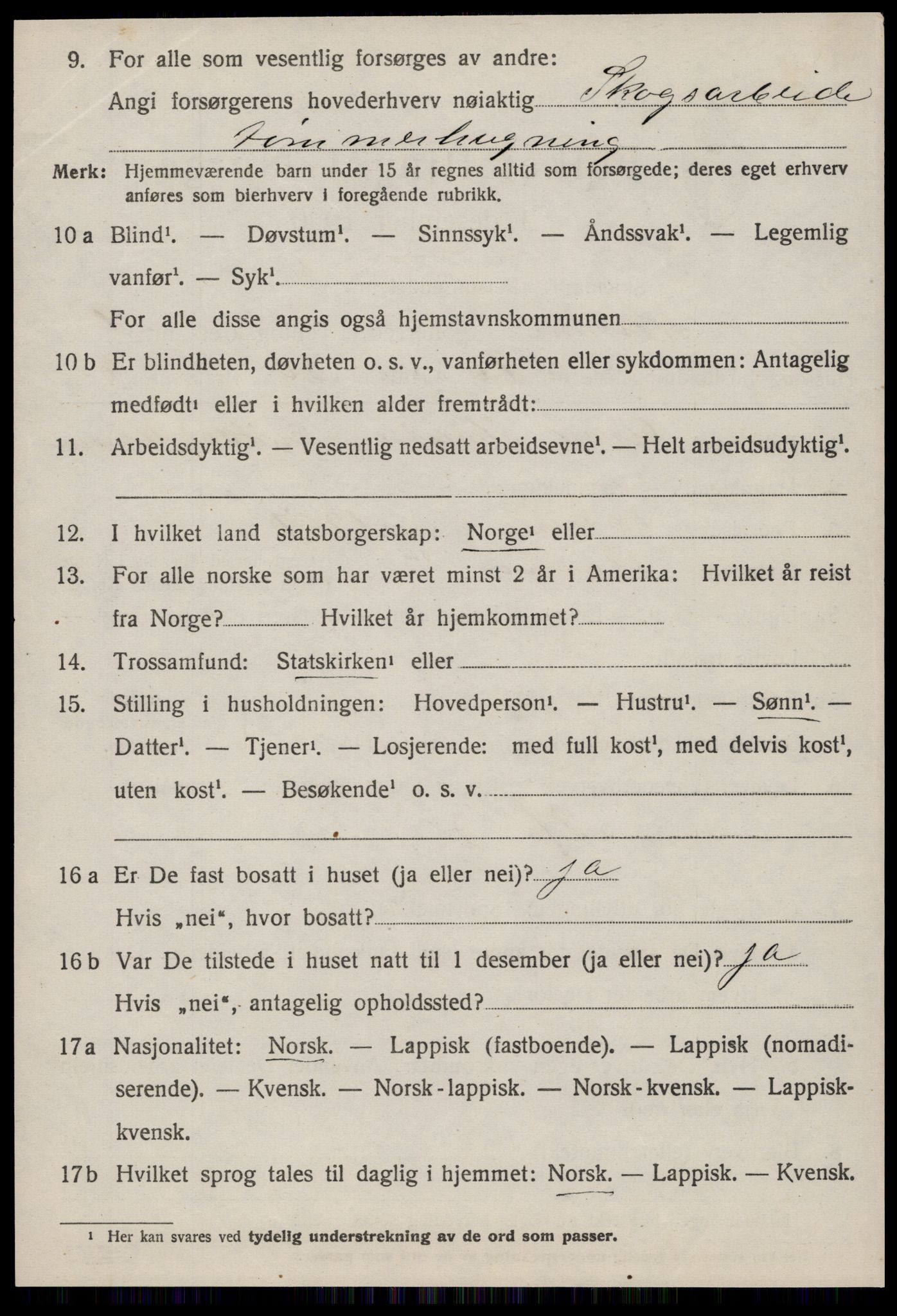 SAT, 1920 census for Hemne, 1920, p. 1803