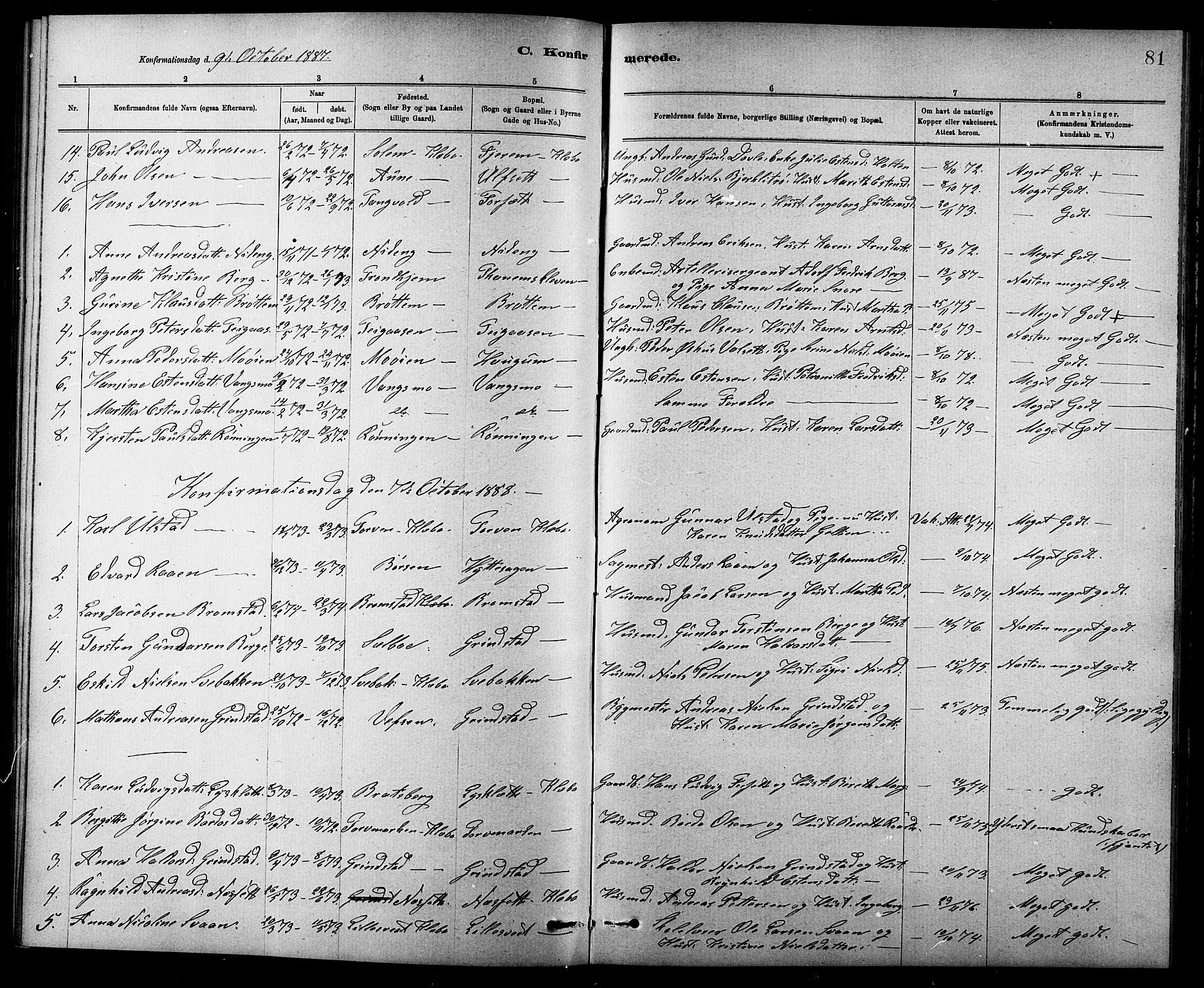 Ministerialprotokoller, klokkerbøker og fødselsregistre - Sør-Trøndelag, AV/SAT-A-1456/618/L0452: Parish register (copy) no. 618C03, 1884-1906, p. 81