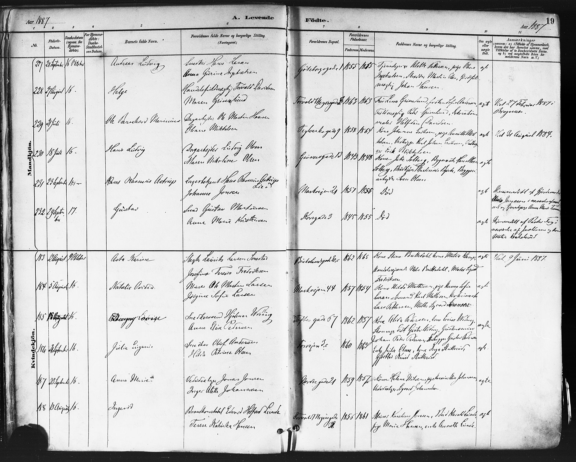 Paulus prestekontor Kirkebøker, AV/SAO-A-10871/F/Fa/L0013: Parish register (official) no. 13, 1887-1894, p. 19