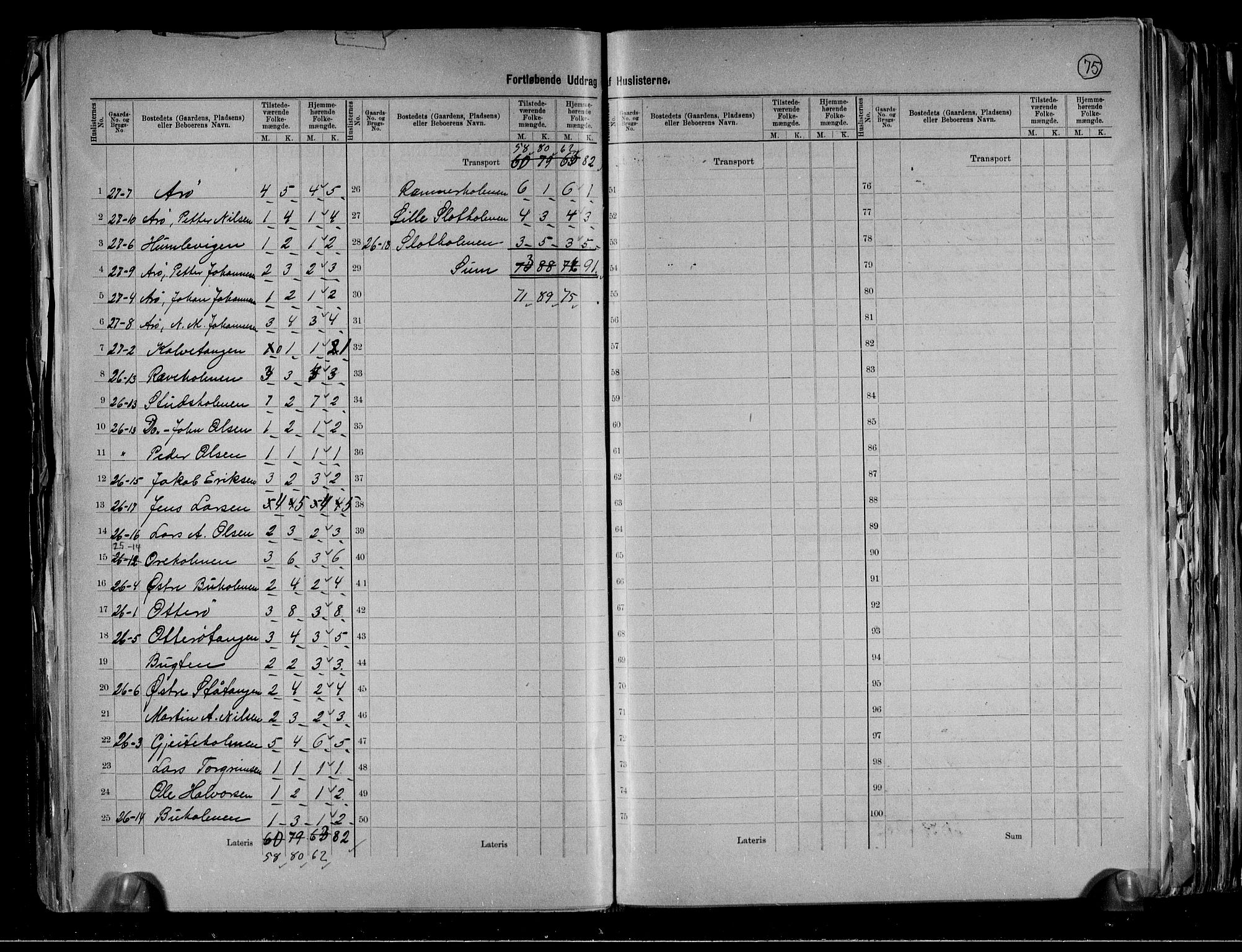 RA, 1891 census for 0815 Skåtøy, 1891, p. 29