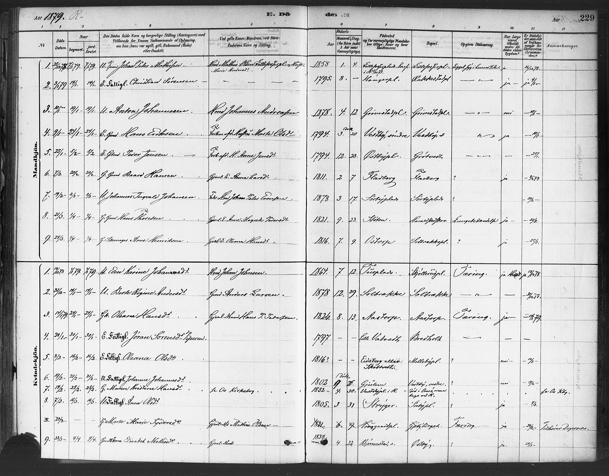 Rakkestad prestekontor Kirkebøker, AV/SAO-A-2008/F/Fa/L0012: Parish register (official) no. I 12, 1878-1893, p. 229