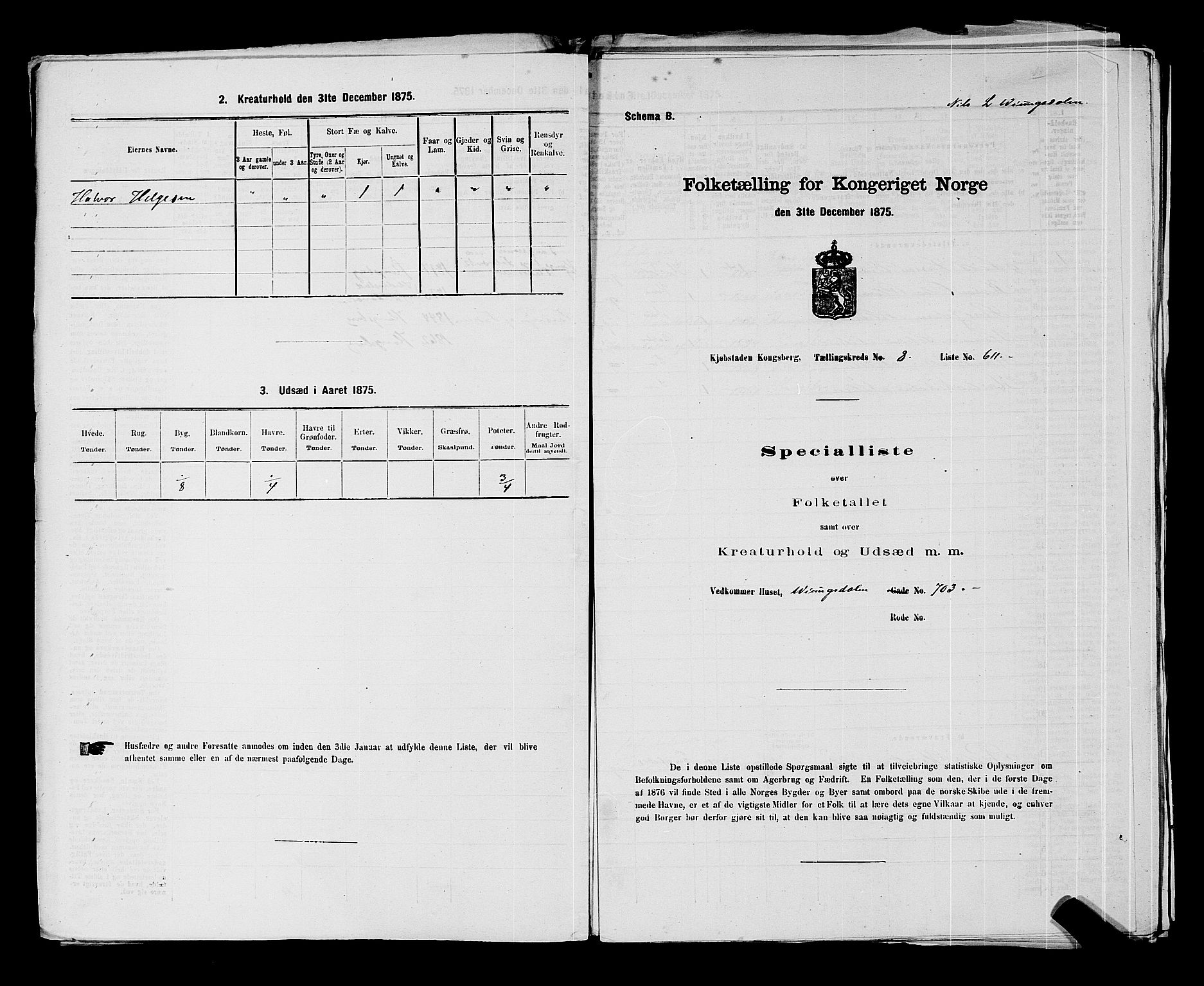 SAKO, 1875 census for 0604B Kongsberg/Kongsberg, 1875, p. 1349