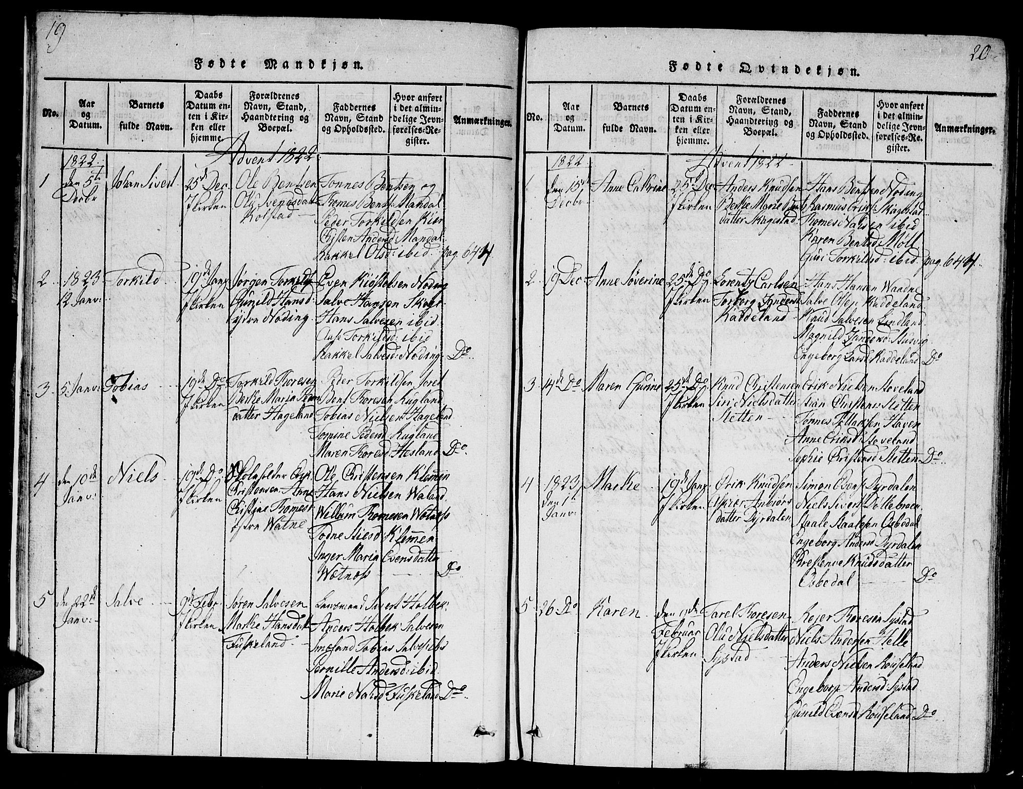 Holum sokneprestkontor, SAK/1111-0022/F/Fb/Fba/L0002: Parish register (copy) no. B 2, 1820-1849, p. 19-20