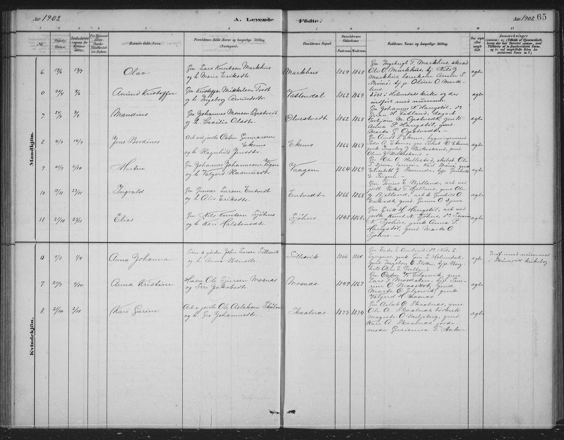 Skånevik sokneprestembete, SAB/A-77801/H/Hab: Parish register (copy) no. B 2, 1881-1920, p. 65