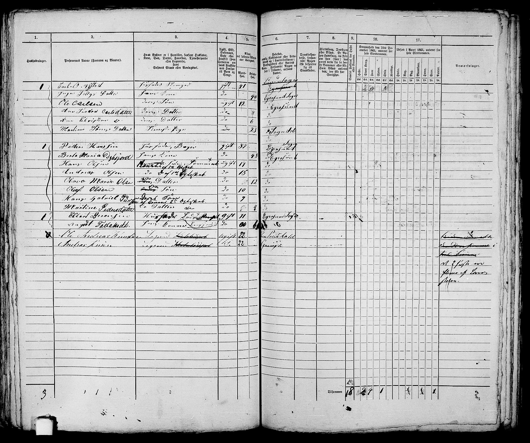 RA, 1865 census for Eigersund parish, Egersund town, 1865, p. 172