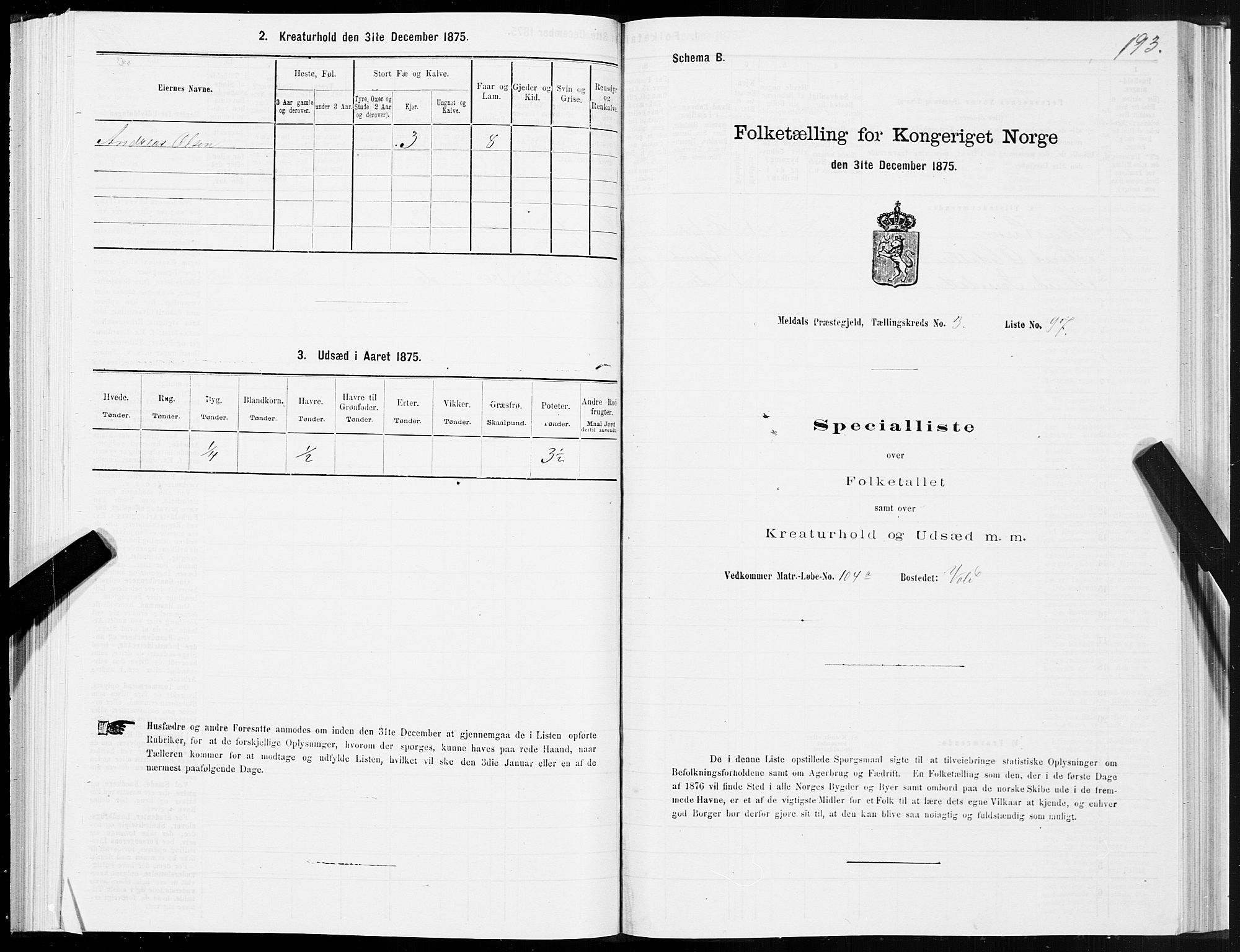 SAT, 1875 census for 1636P Meldal, 1875, p. 2193